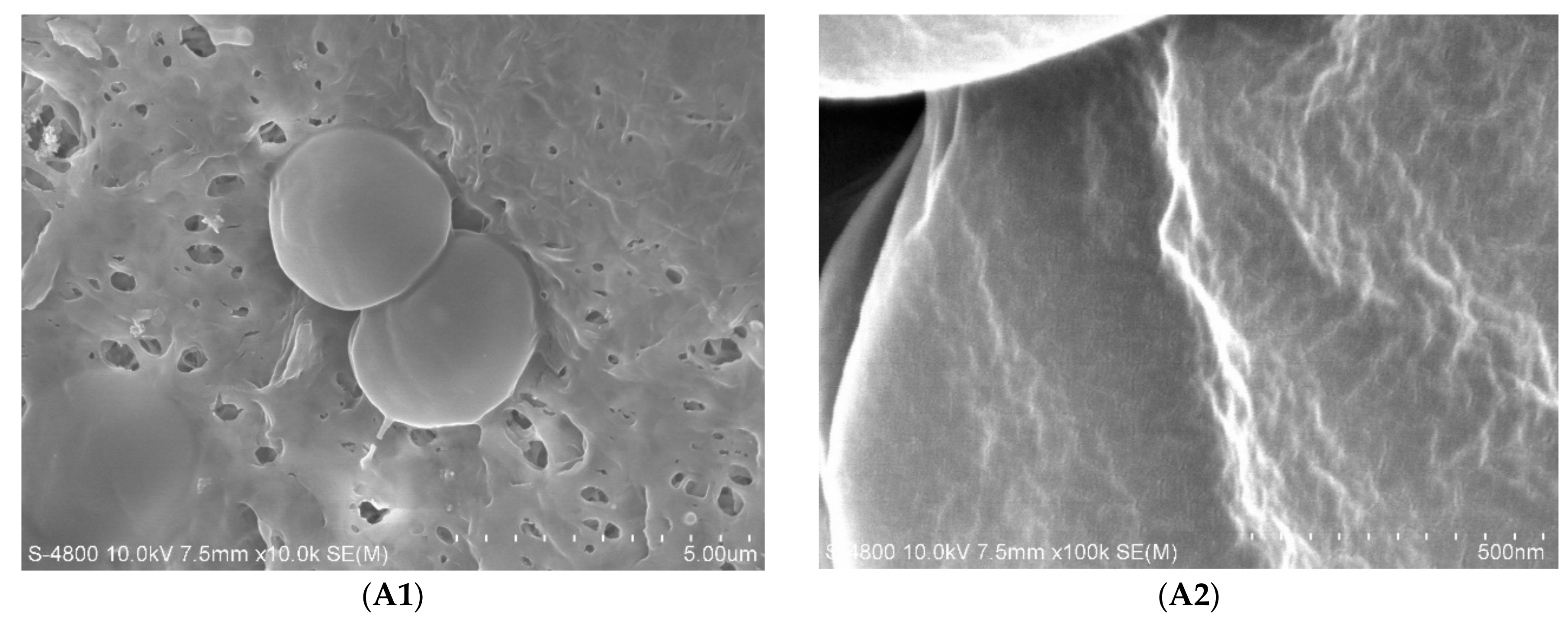 Applsci 08 02073 g004a