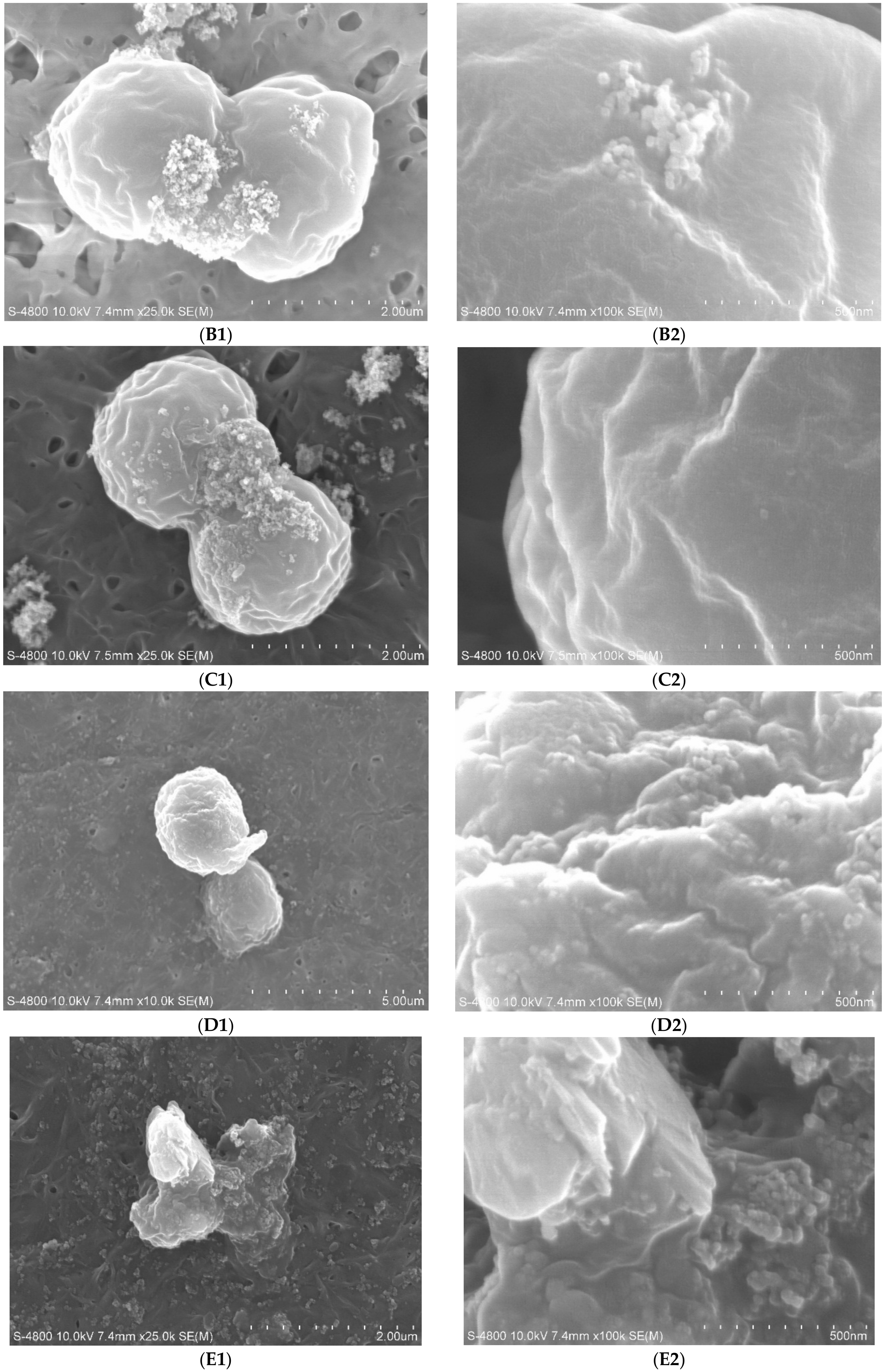 Applsci 08 02073 g004b