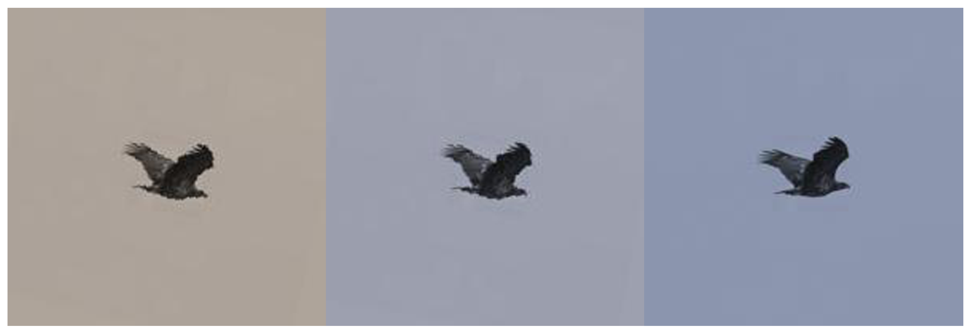 Applsci 08 02089 g002 Applsci 08 02089 g002