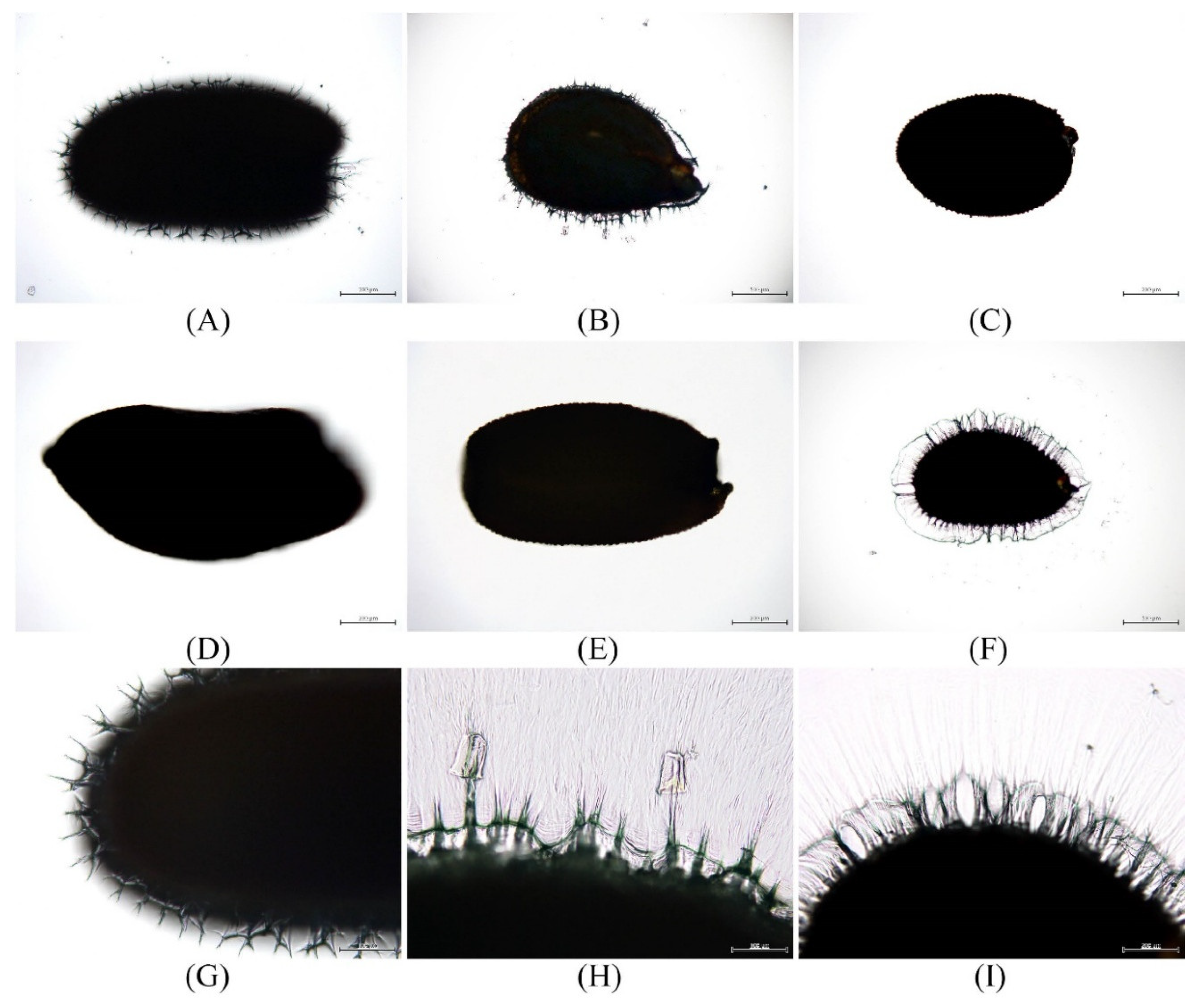 Applsci 08 02134 g004