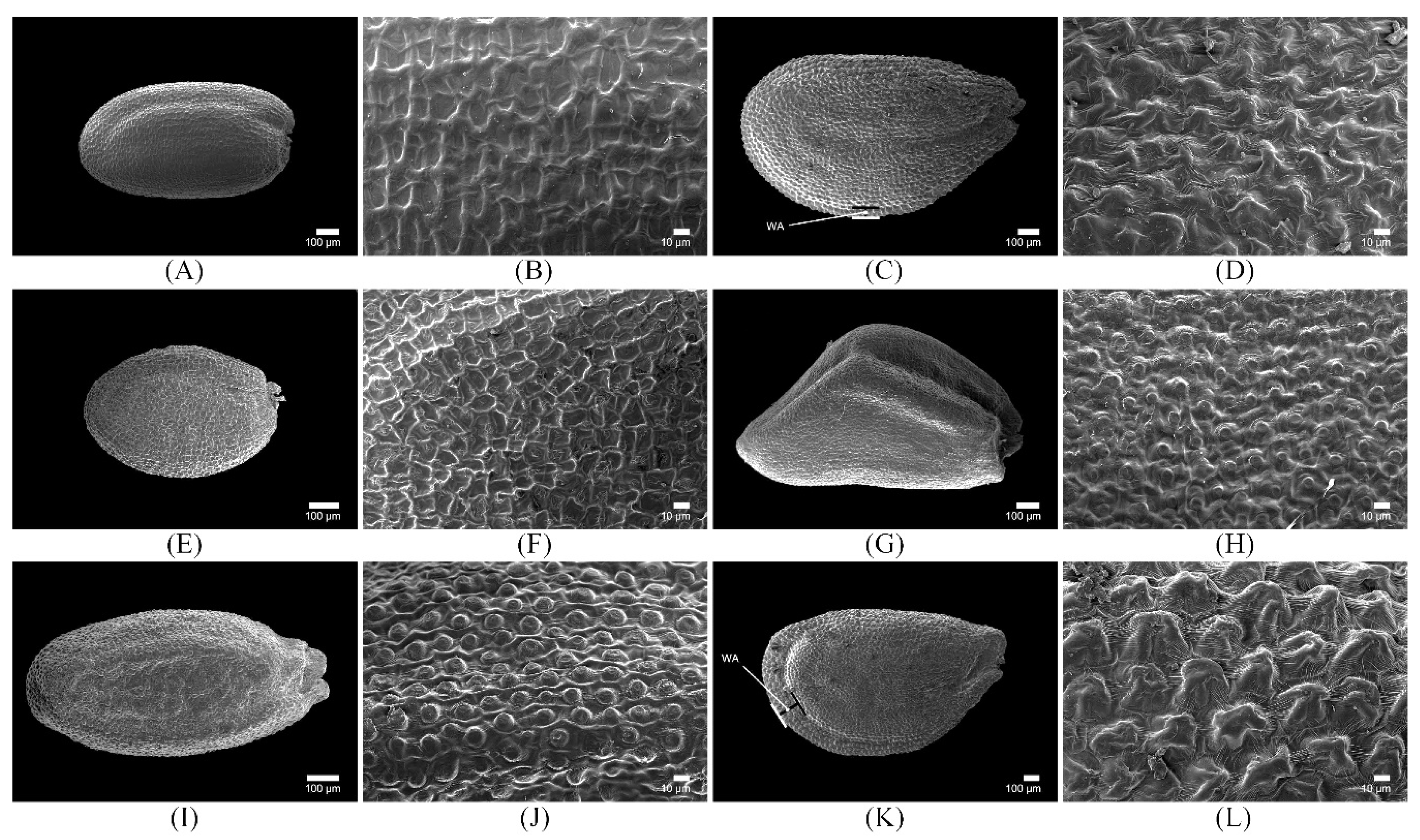 Applsci 08 02134 g005