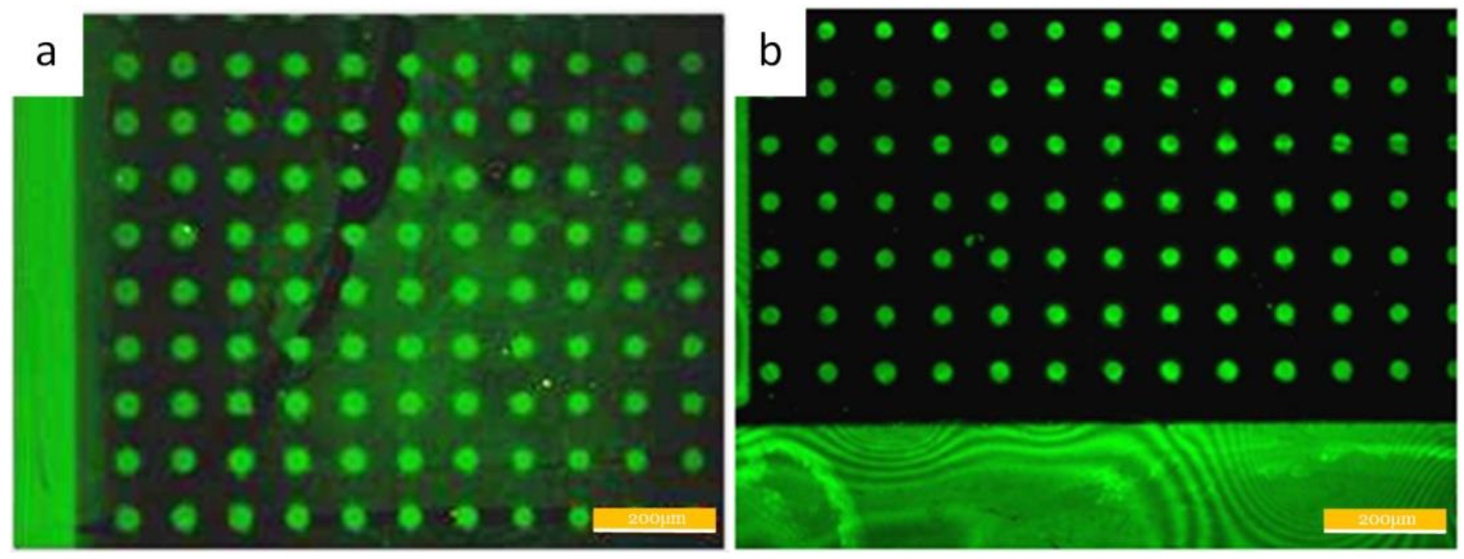 Applsci 08 02152 g005