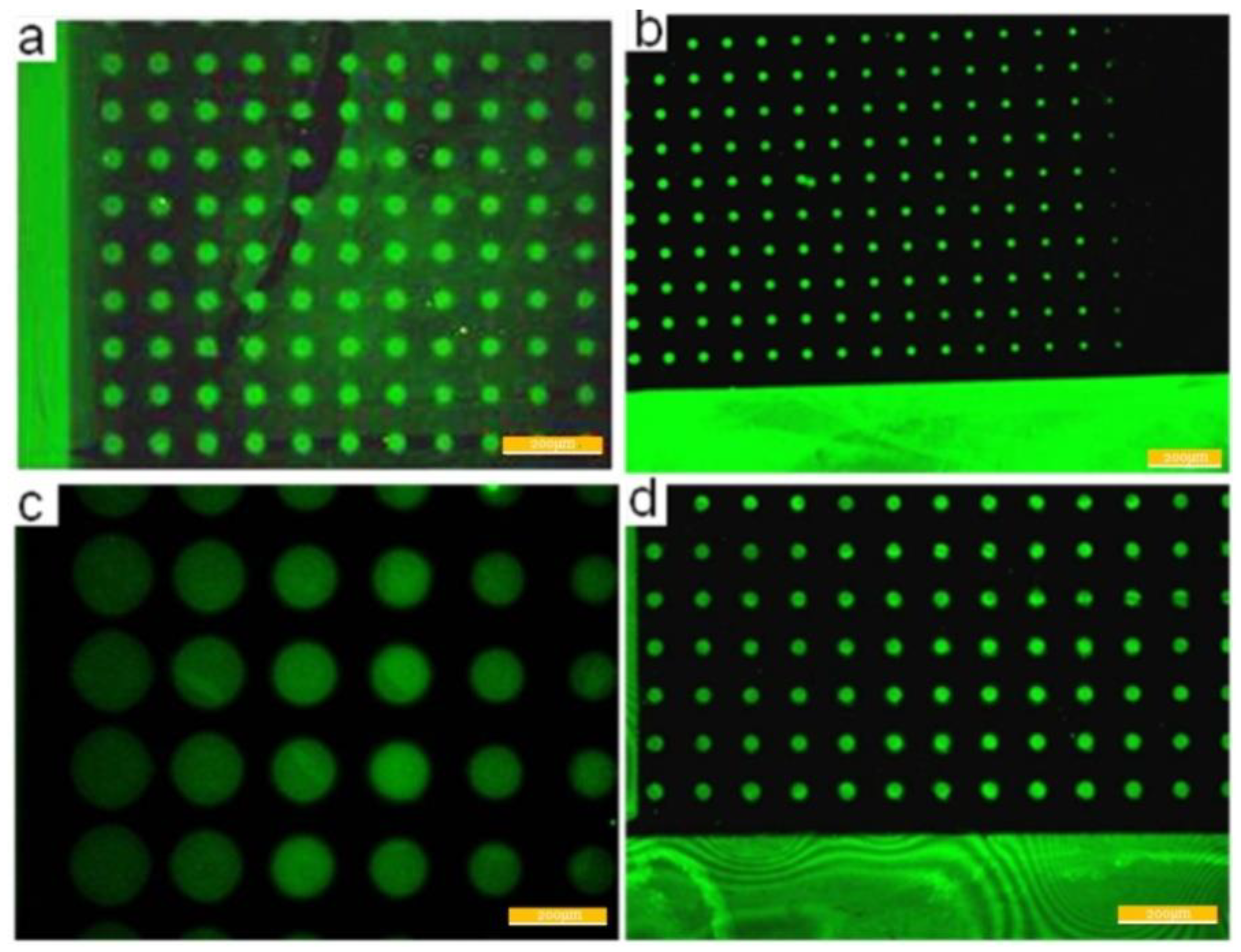 Applsci 08 02152 g008