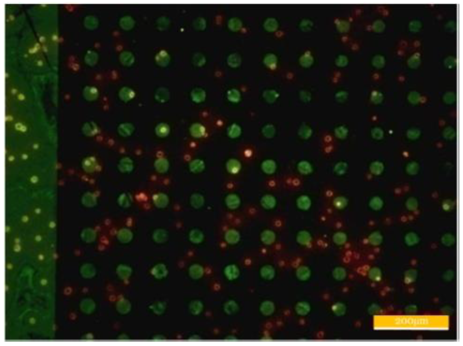 Applsci 08 02152 g009