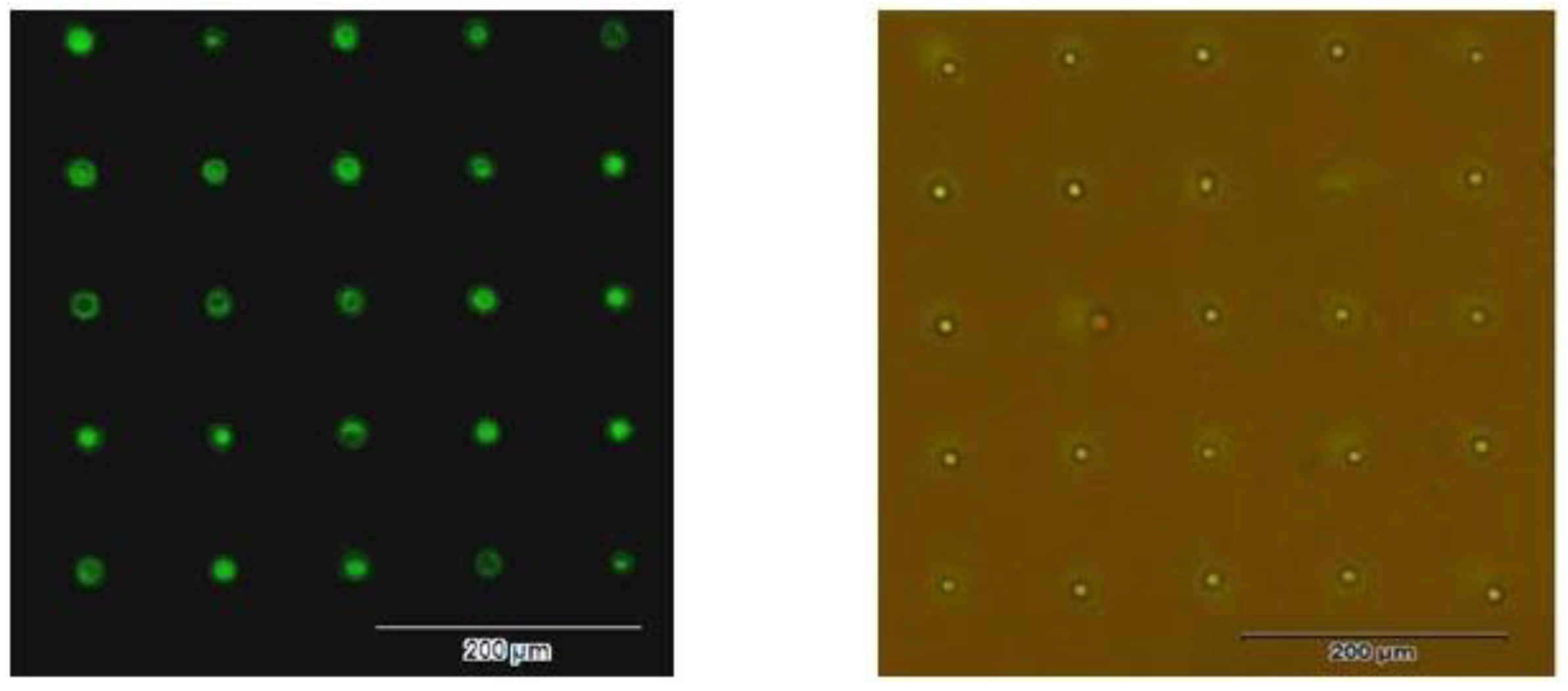 Applsci 08 02152 g011