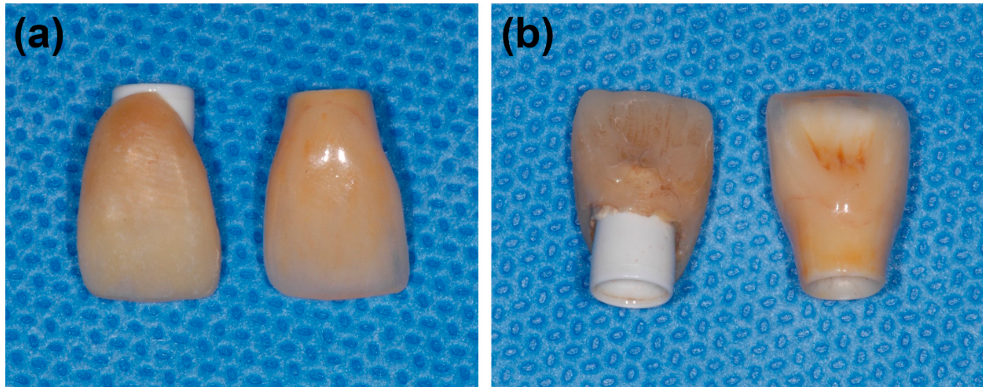 Applsci 08 02261 g001 550