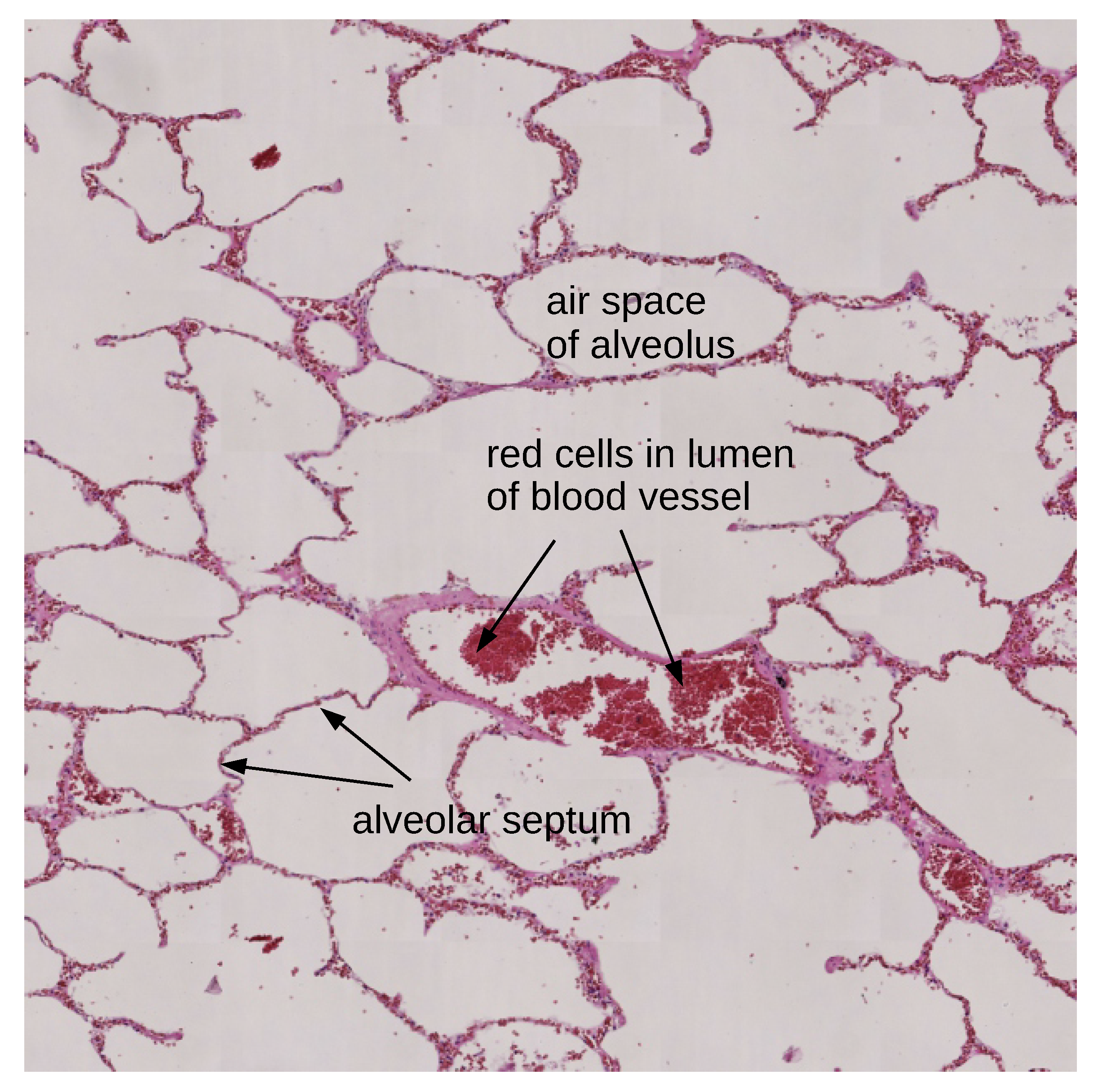 Applsci 08 02356 g001