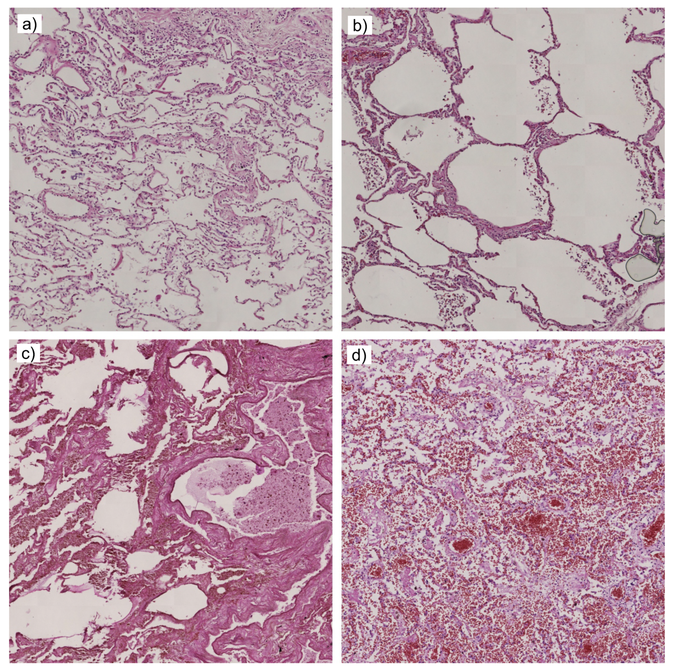 Applsci 08 02356 g002