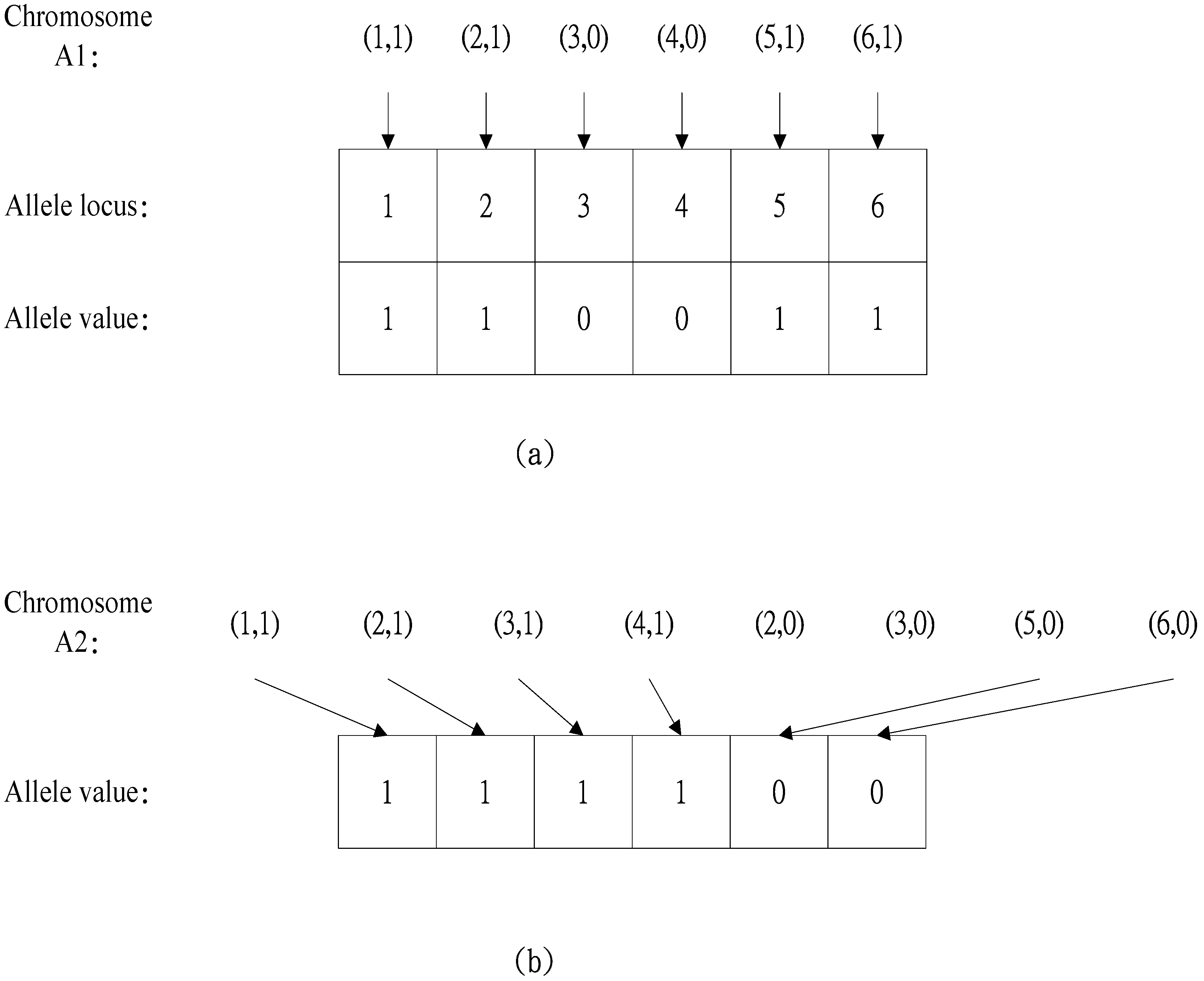 Applied Sciences | Free Full-Text | Using the Taguchi-Genetic Algorithm ...
