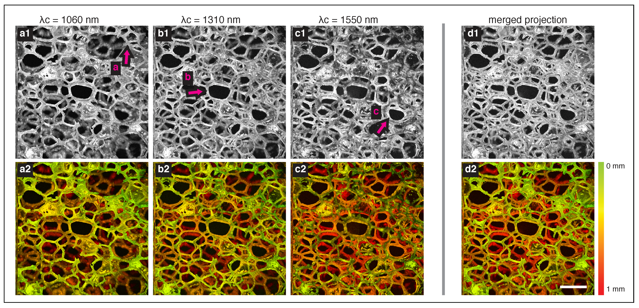Applsci 08 02395 g002