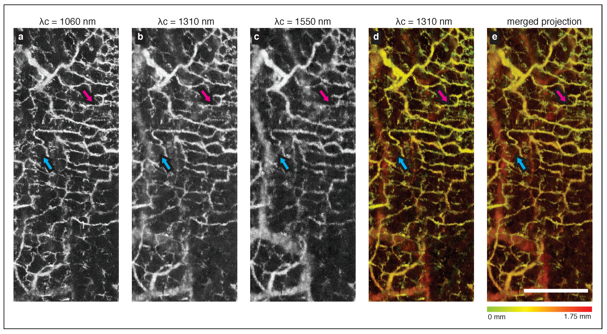Applsci 08 02395 g003