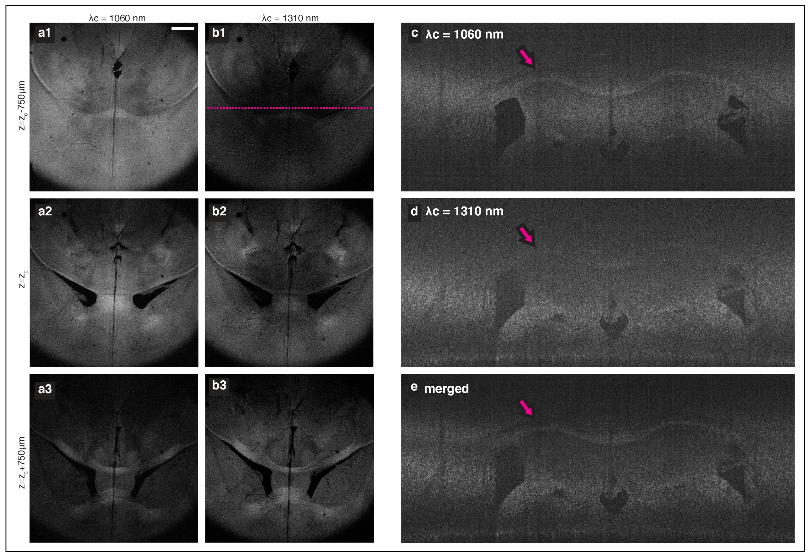 Applsci 08 02395 g004