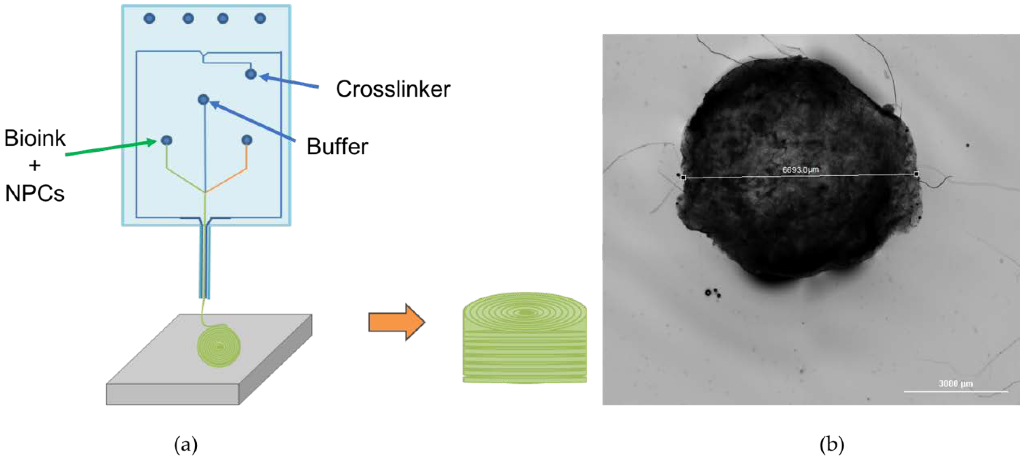 Applsci 08 02414 g001 Applsci 08 02414 g001