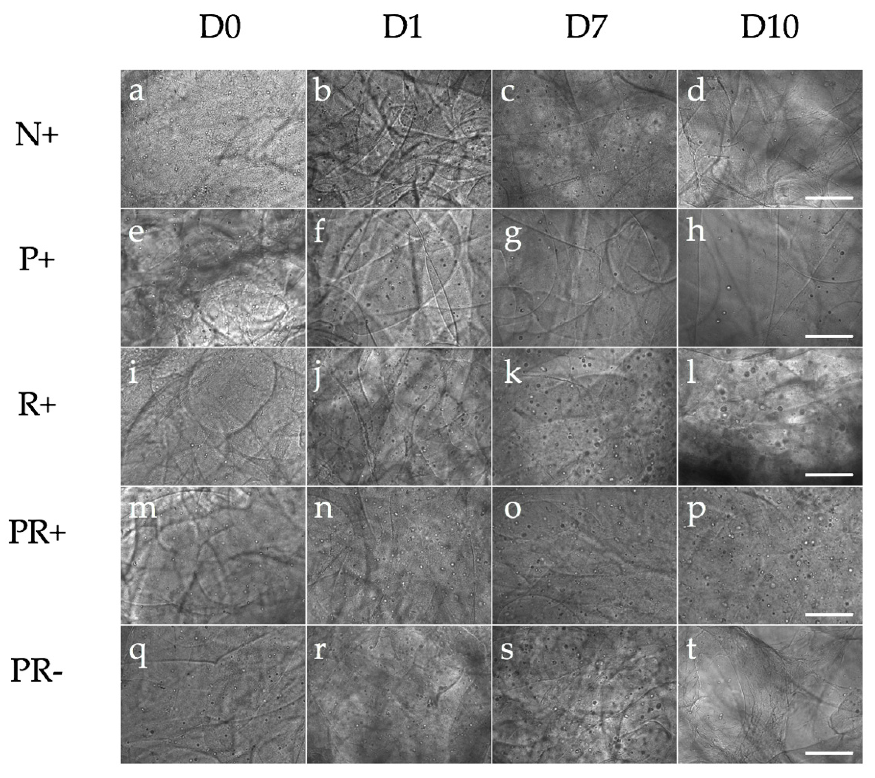 Applsci 08 02414 g002 Applsci 08 02414 g002