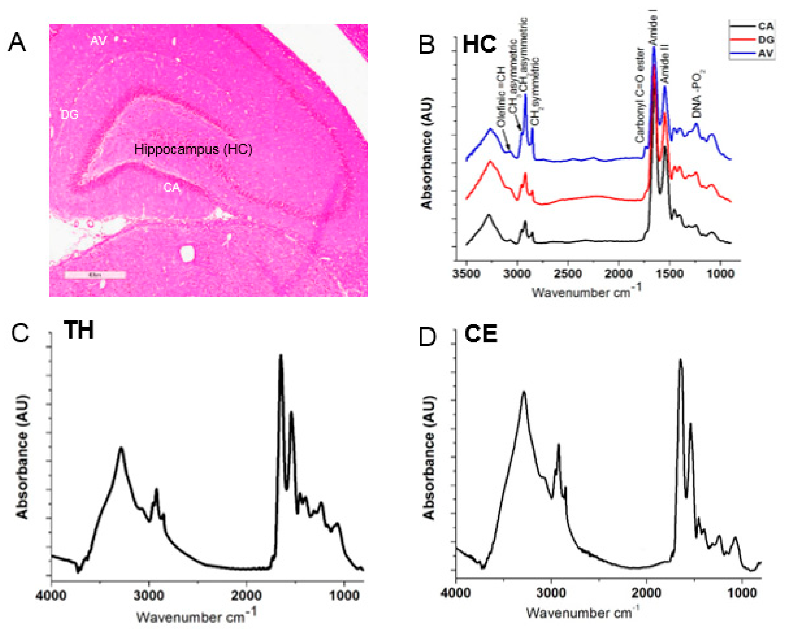 Applied Sciences | Free Full-Text | Application of FTIR and LA ...