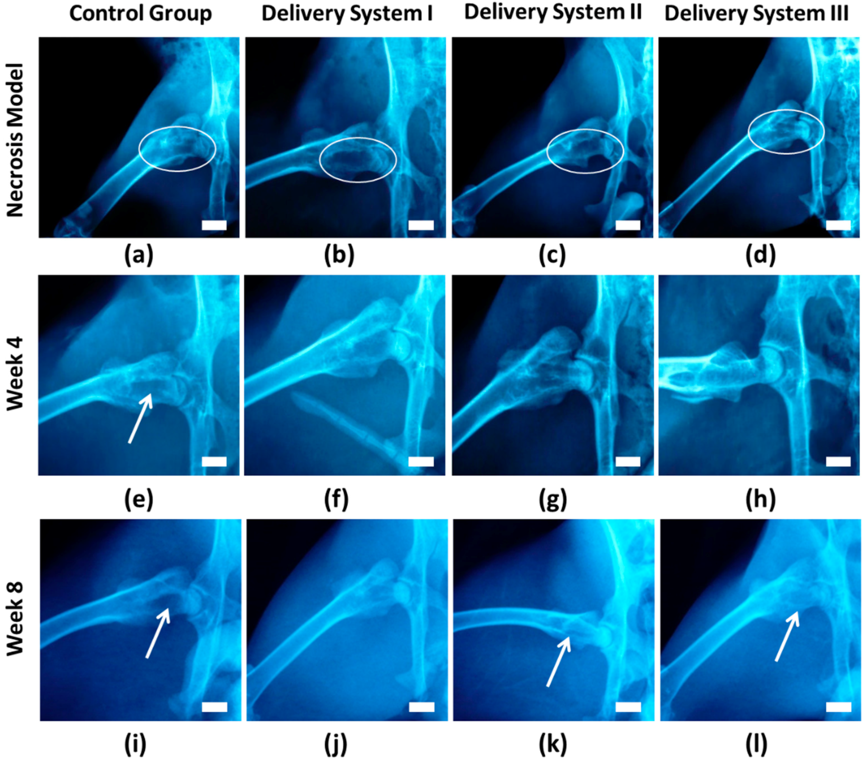 Applsci 08 02438 g003 Applsci 08 02438 g003