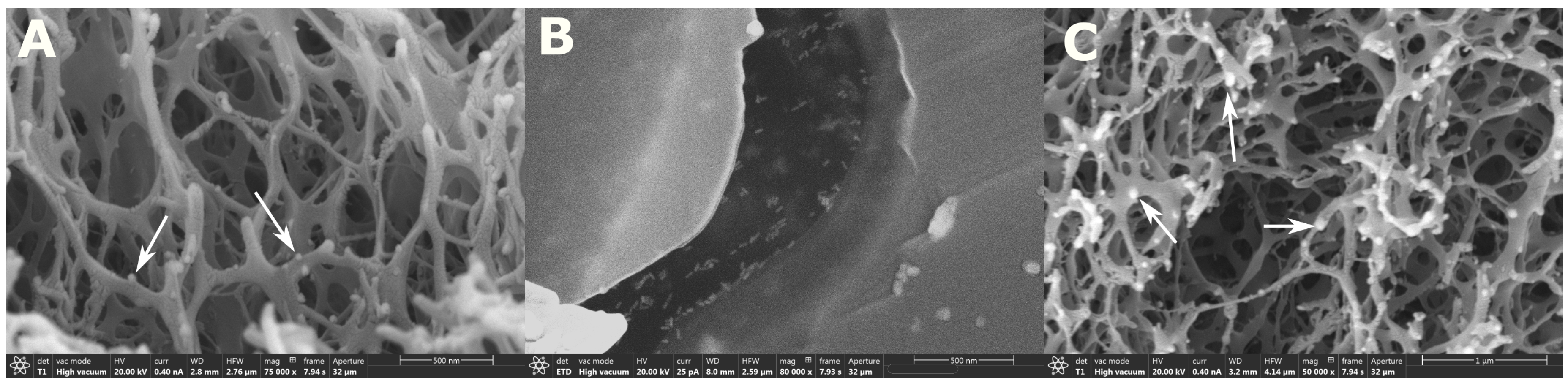 Applsci 08 02446 g004