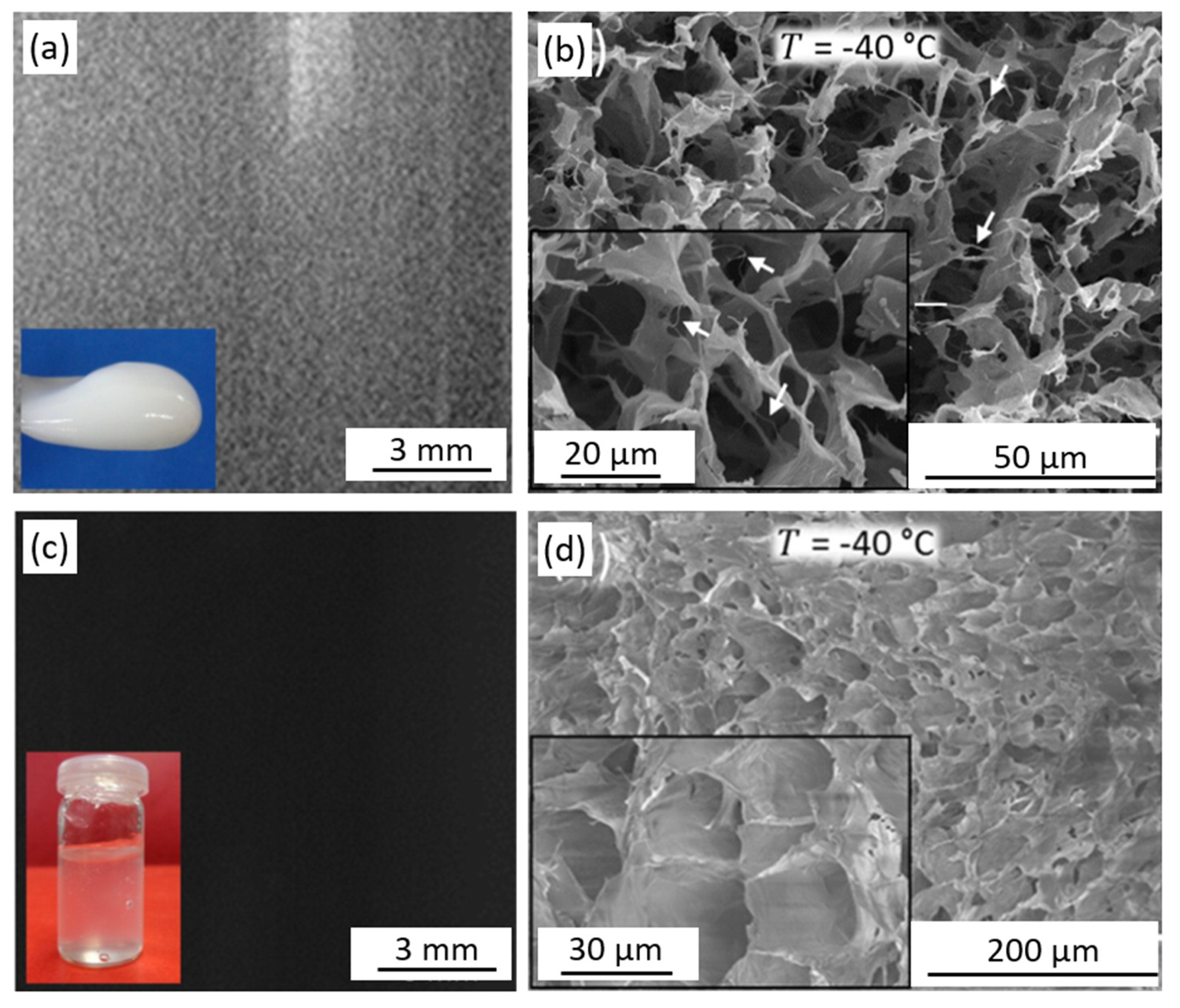 Ice-Templated Fabrication of Porous Materials with Bioinspired Architecture  and Functionality