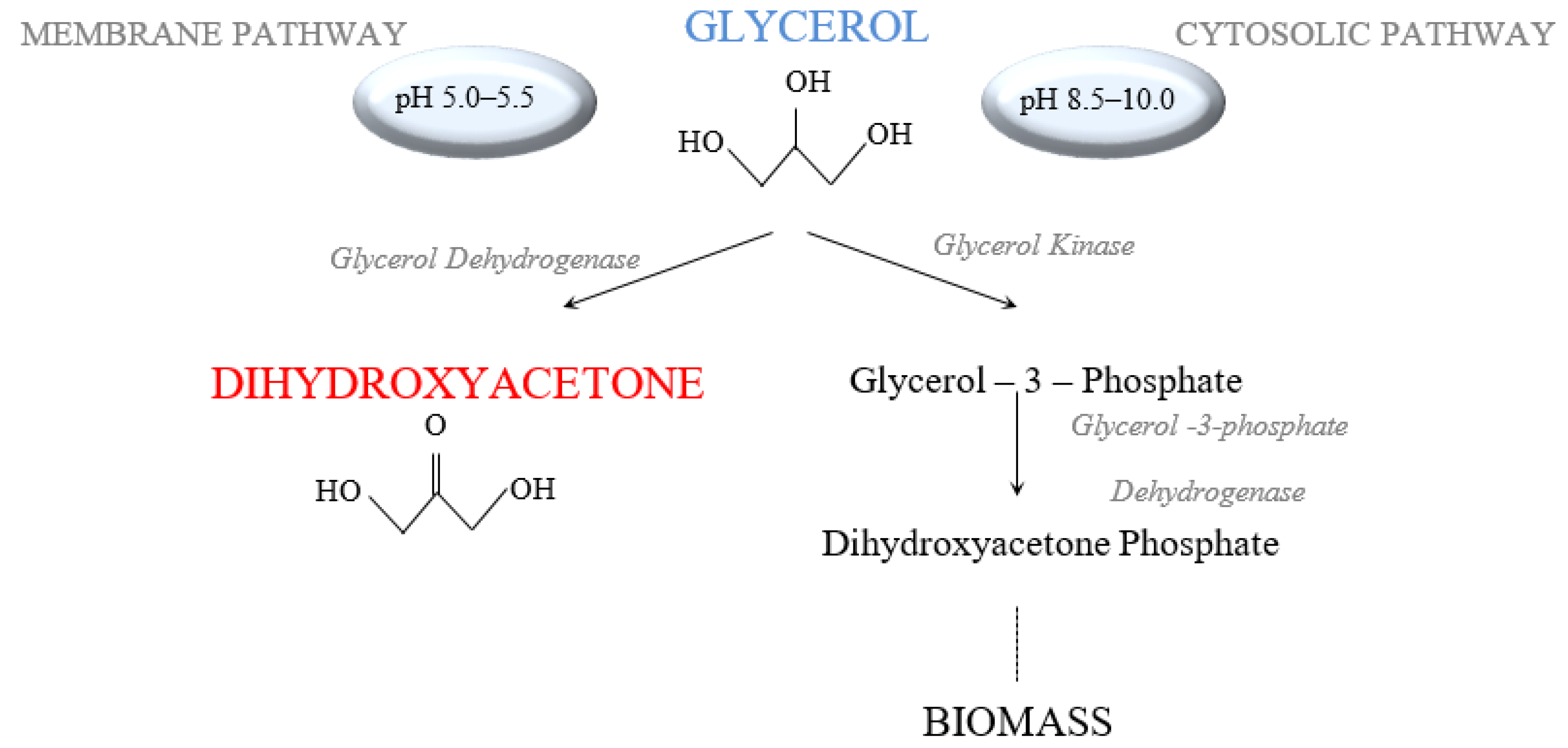 applied sciences free full text valorization of waste glycerol