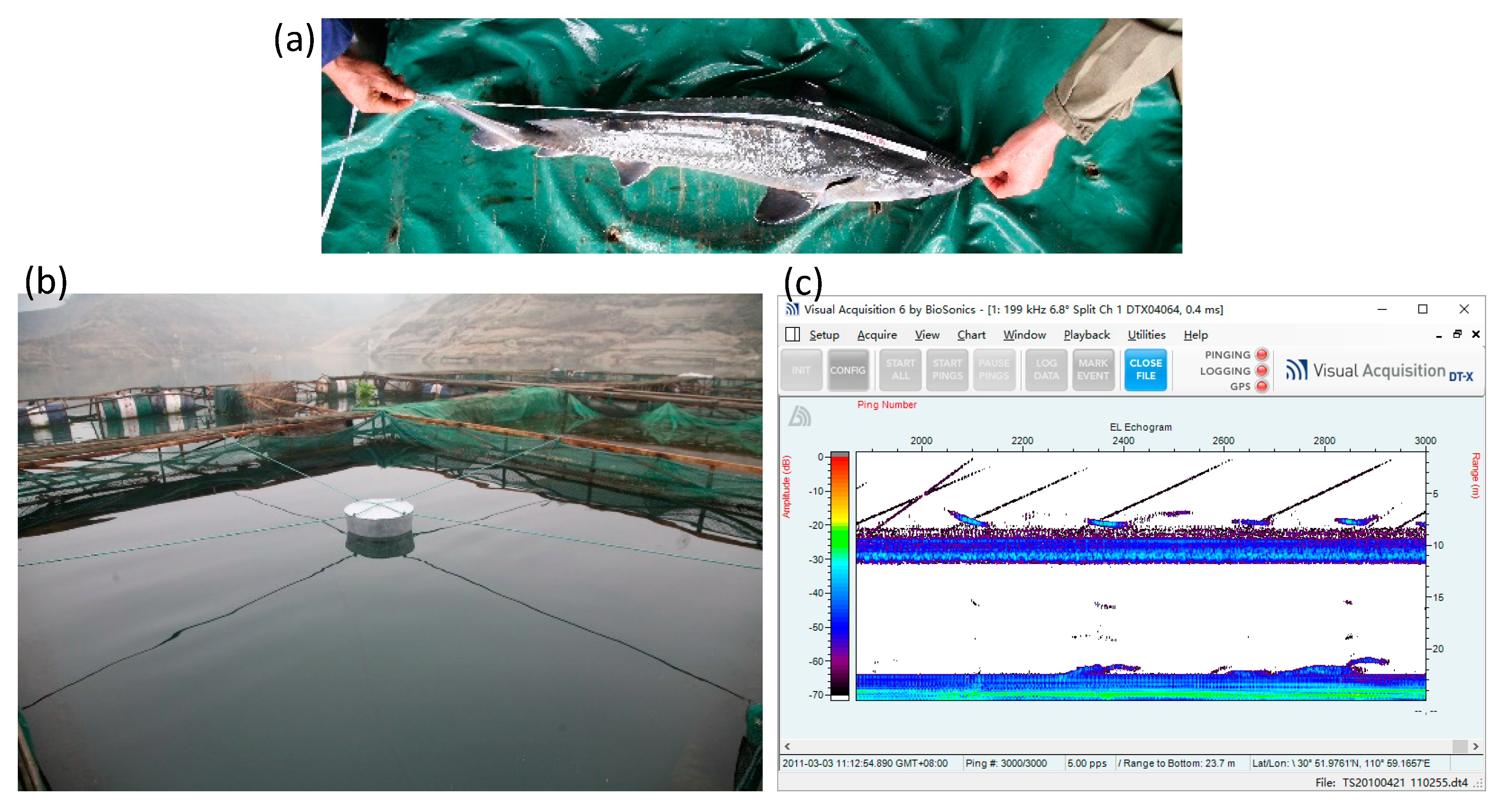 Applsci 08 02554 g002