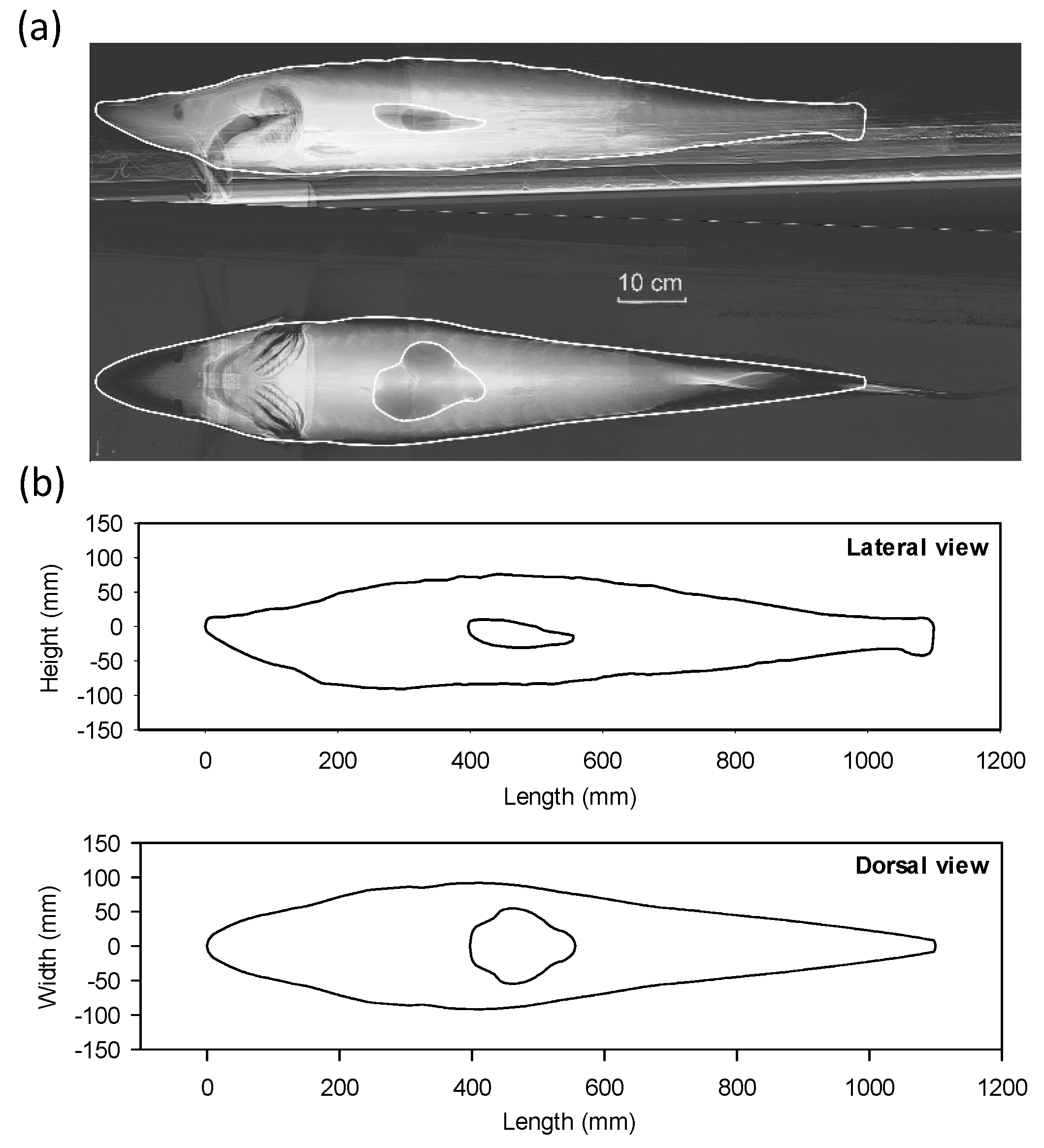 Applsci 08 02554 g003