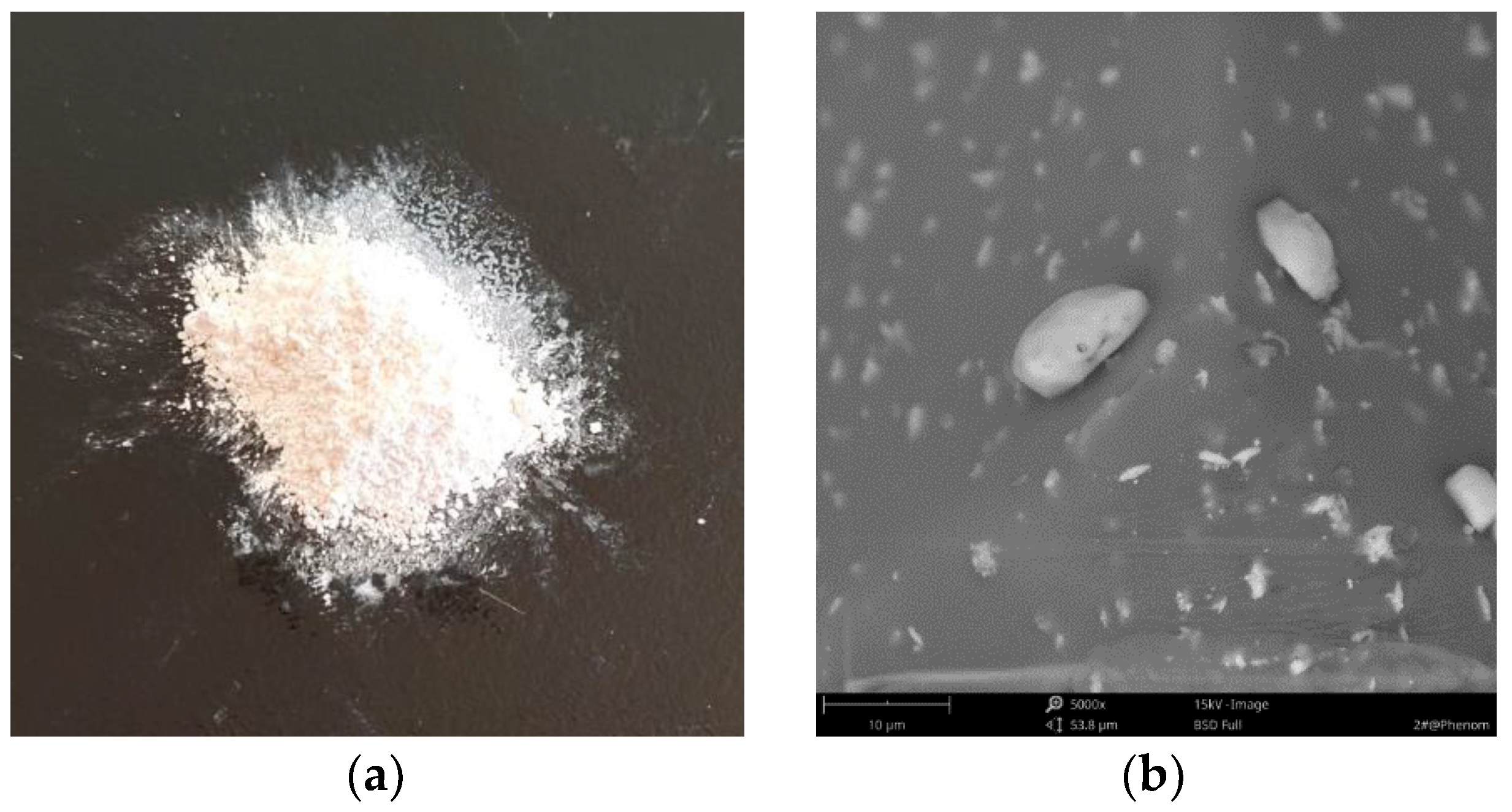 Applsci 08 02581 g002 550