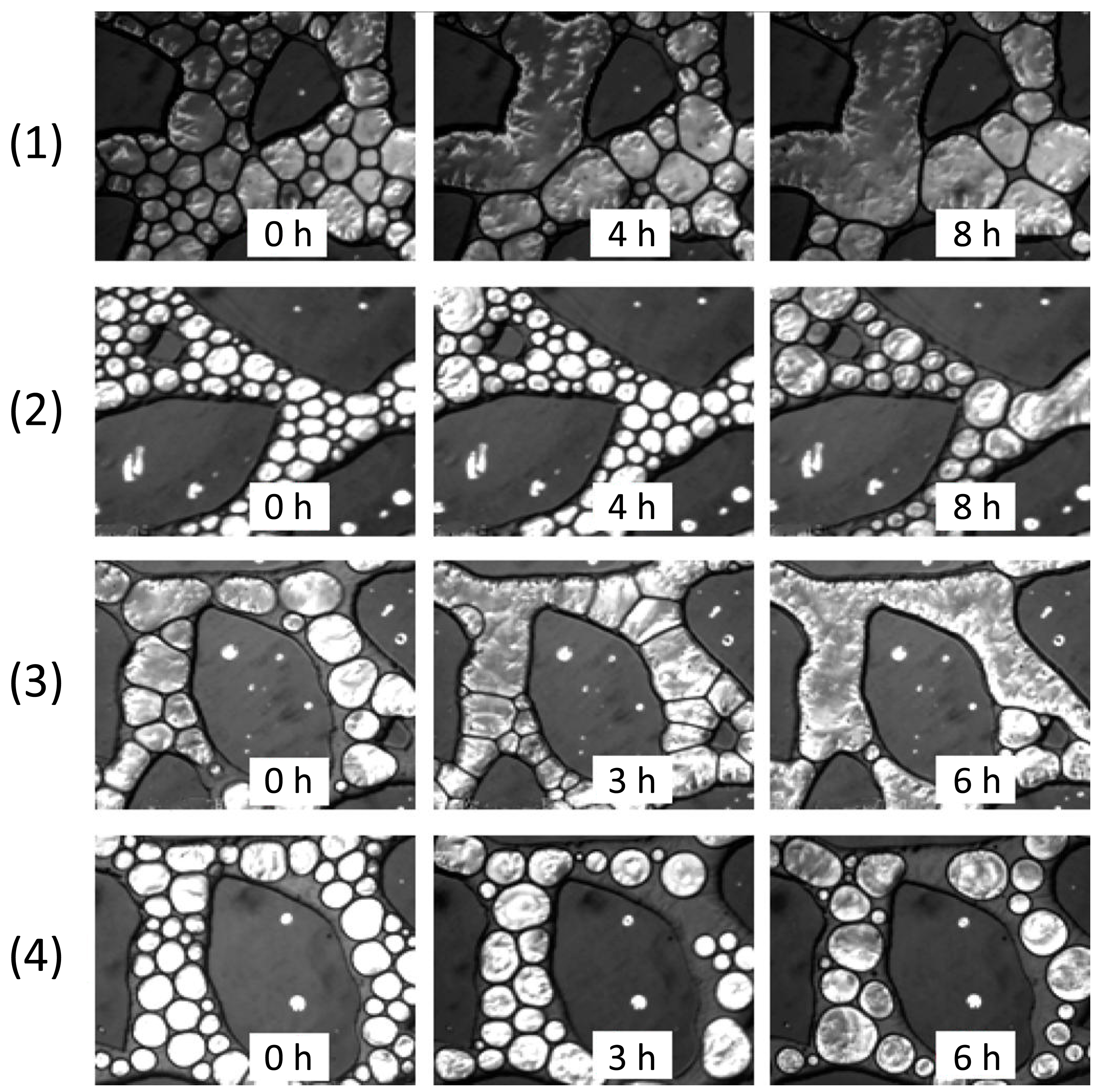 Applsci 08 02596 g021