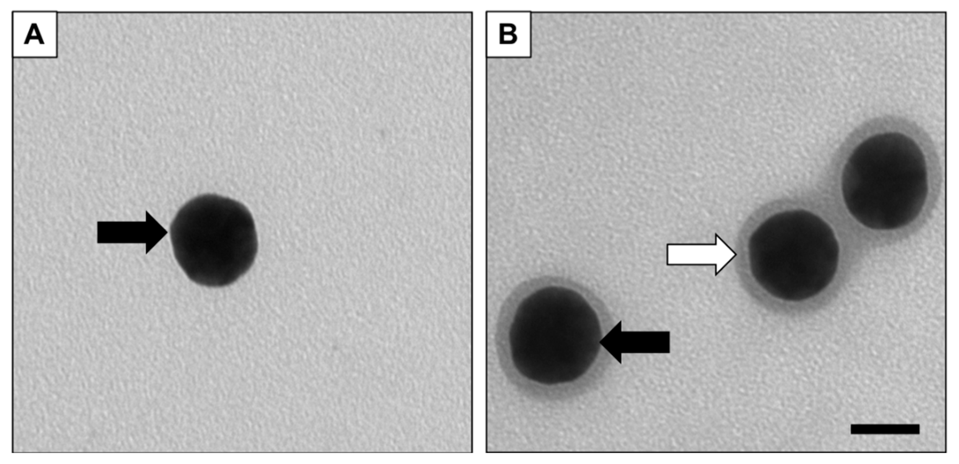 Applsci 08 02669 g002