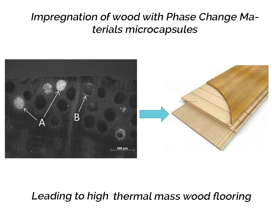 Applied Sciences Free FullText Impregnation of Wood with