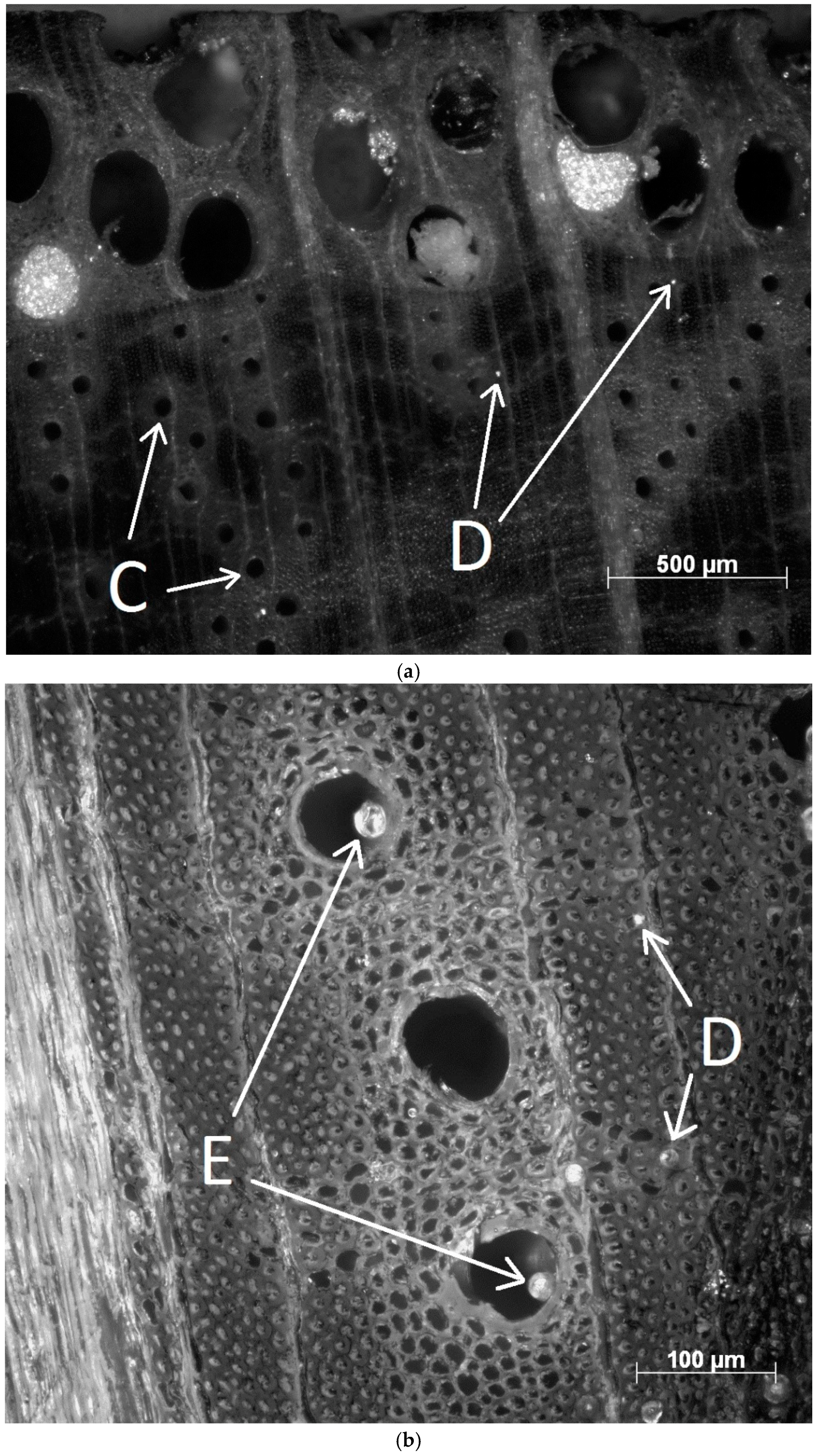 Applsci 08 02696 g008 Applsci 08 02696 g008