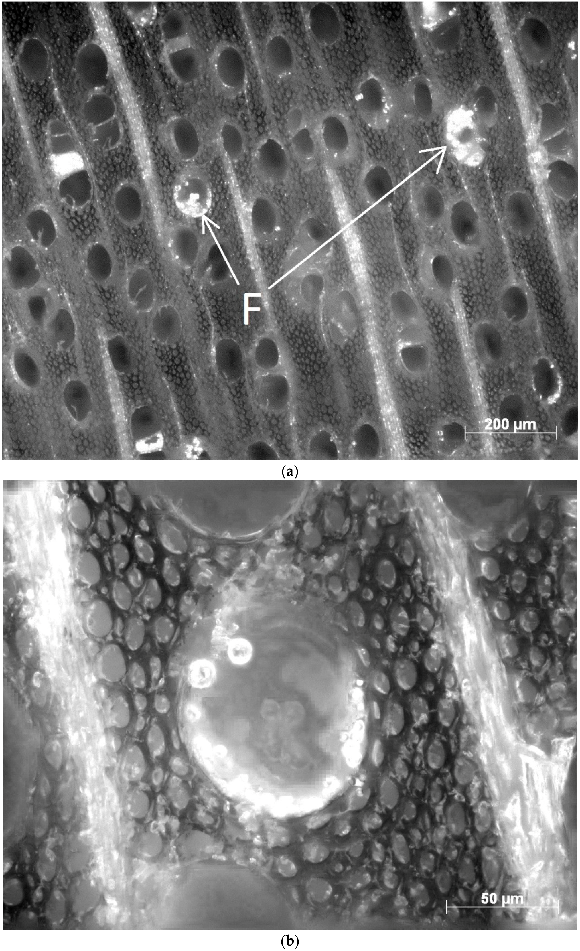 Applsci 08 02696 g009 Applsci 08 02696 g009