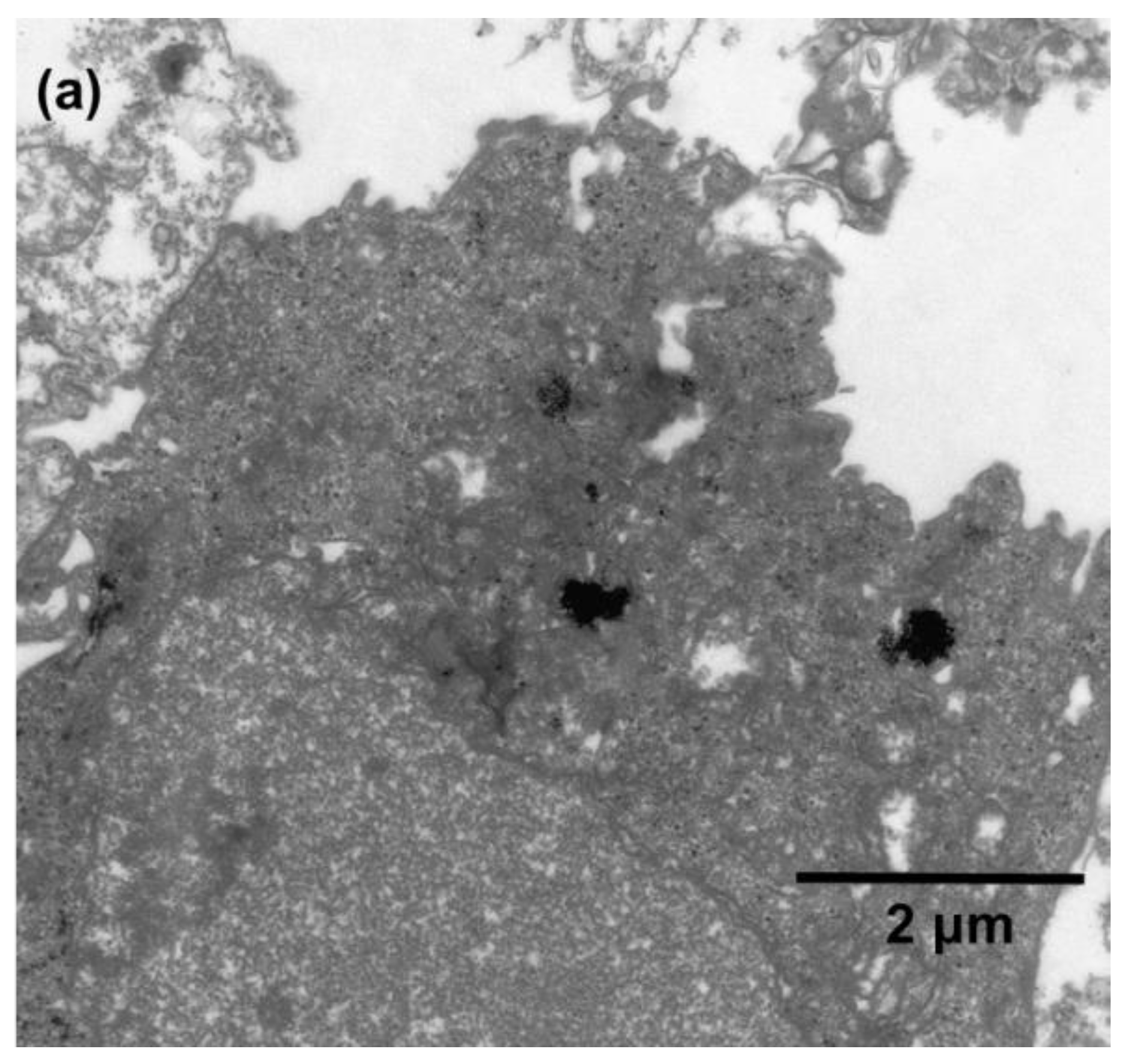 Applsci 09 00015 g007