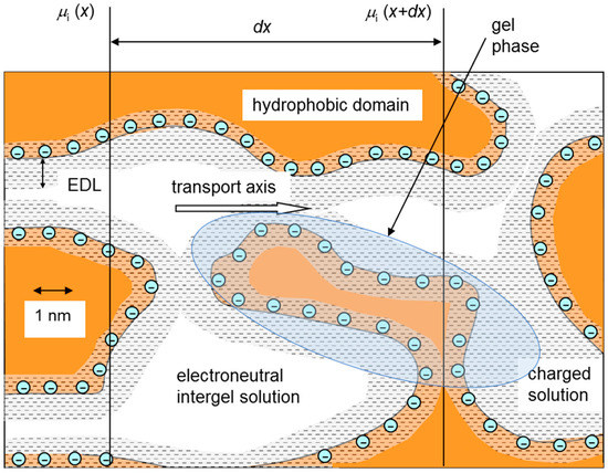 Modelling of Ion Transport in Electromembrane Systems: Impacts of ...
