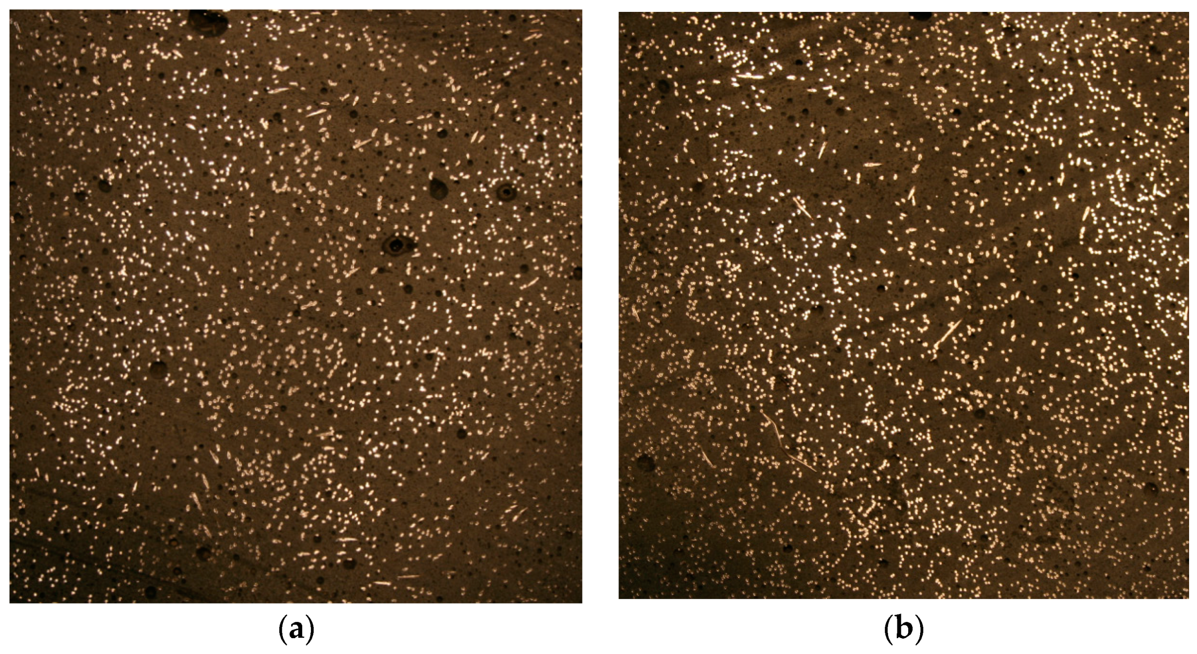 Applsci 09 00029 g009