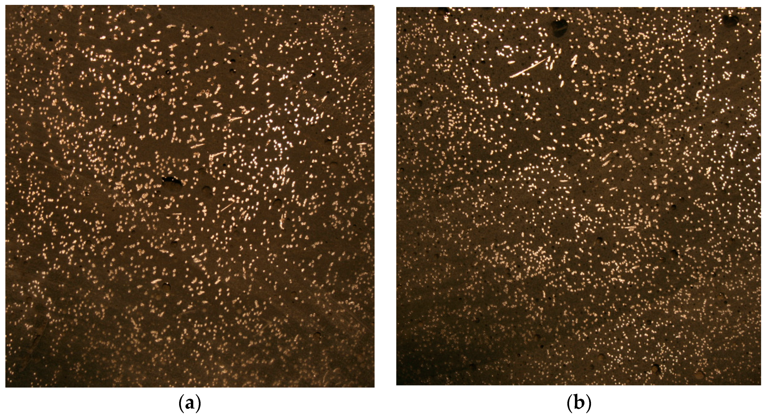 Applsci 09 00029 g010