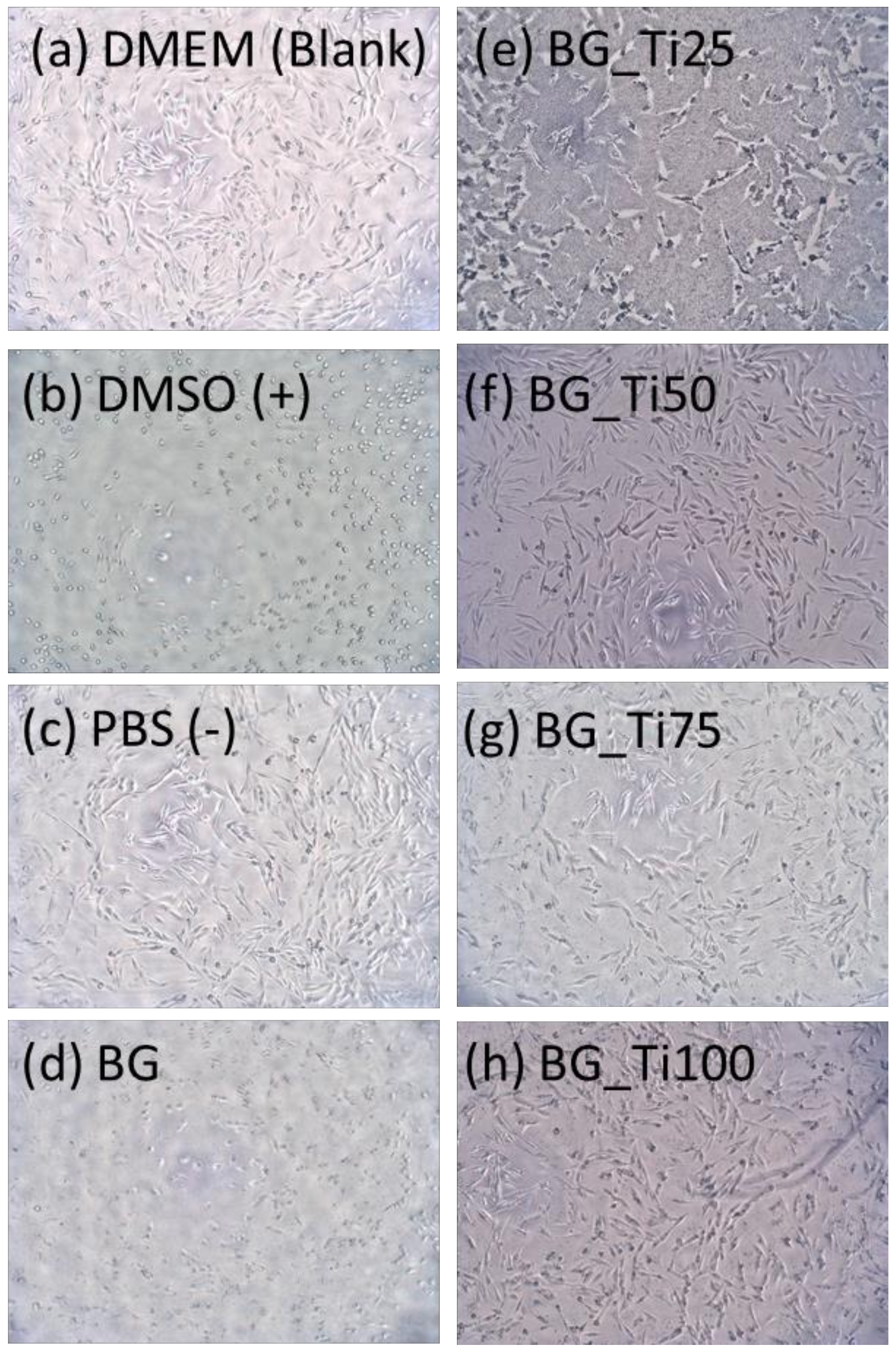 Applsci 09 00066 g005 550