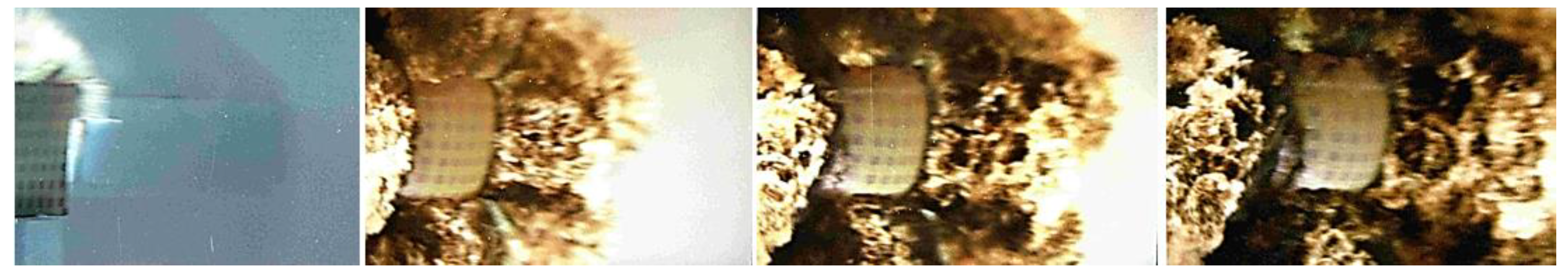 Applsci 09 00097 g005 550