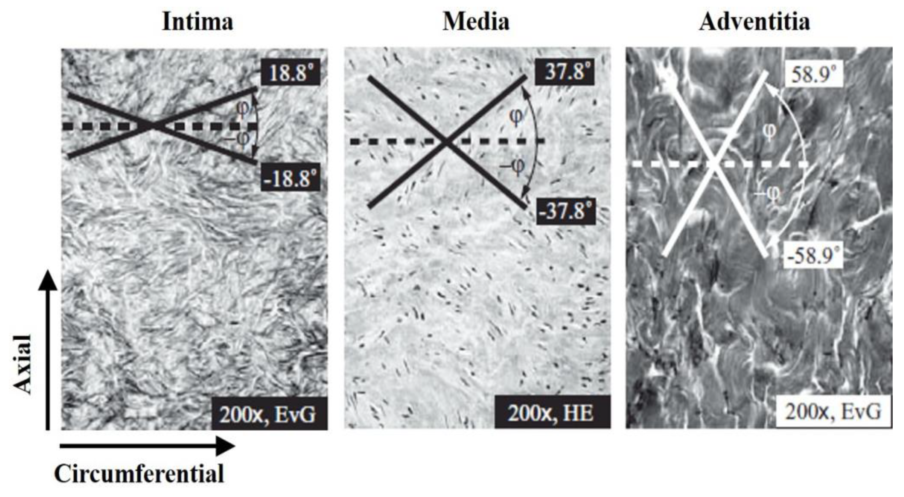 Applsci 09 00101 g003