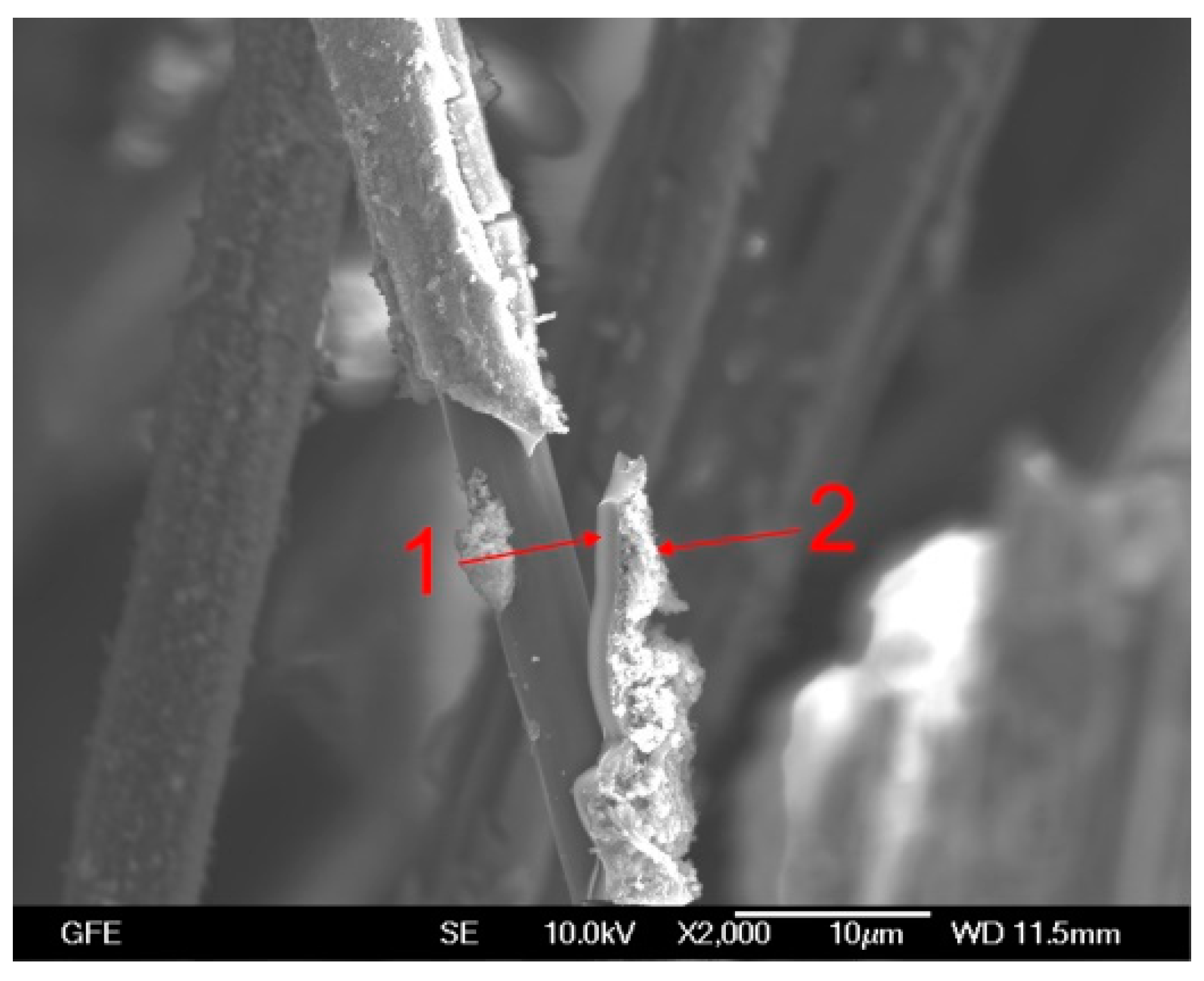 Applsci 09 00110 g013 Applsci 09 00110 g013