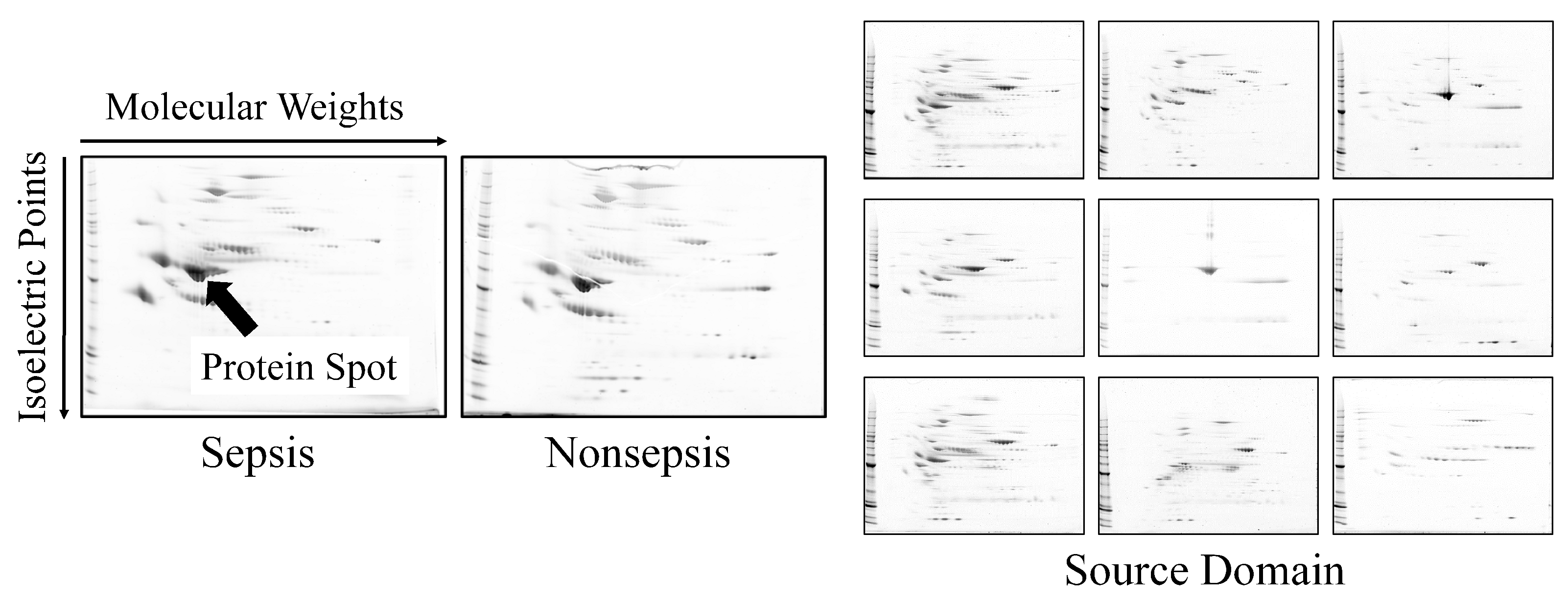 Applsci 09 00128 g004 Applsci 09 00128 g004