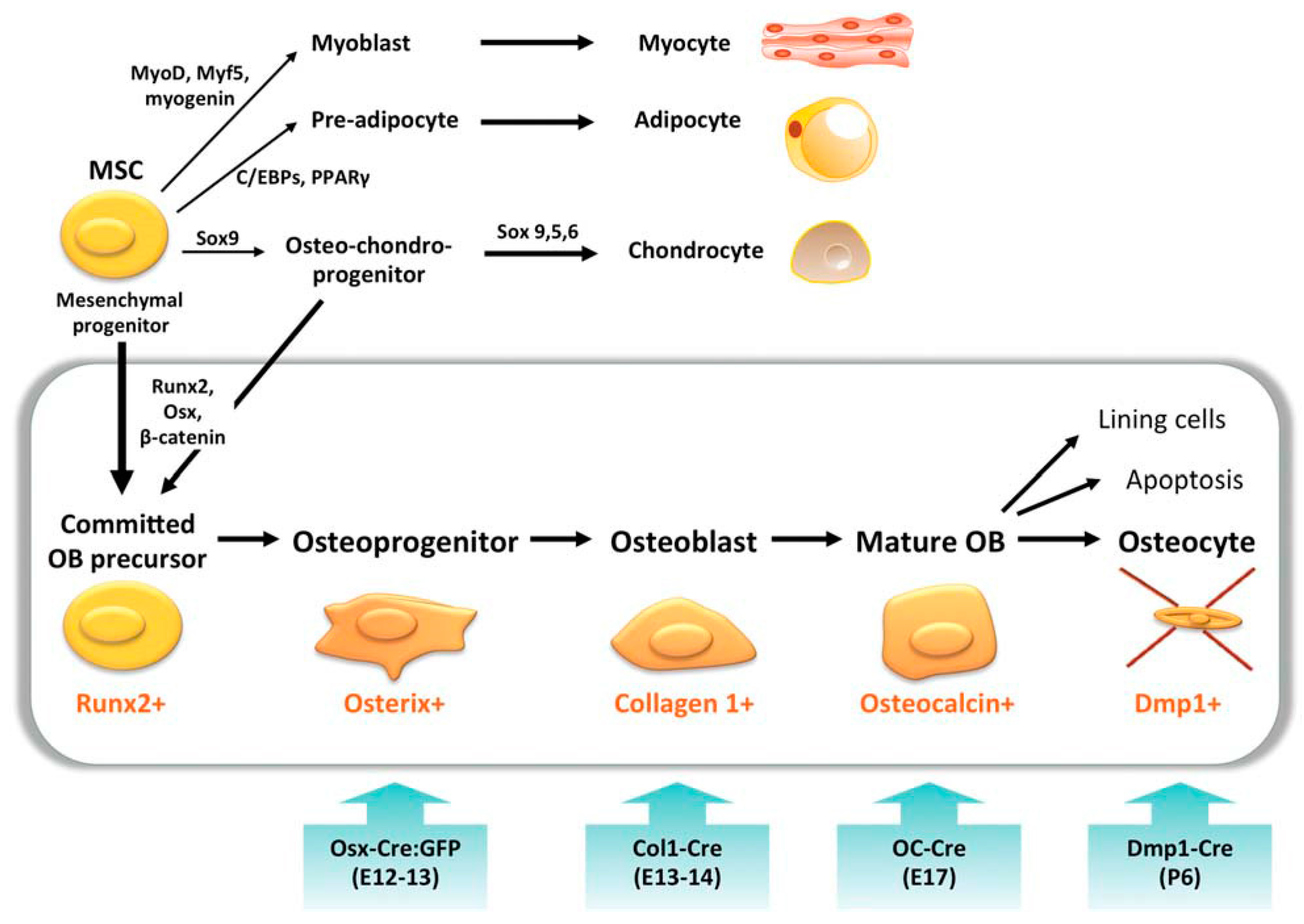 Applsci 09 00174 g002