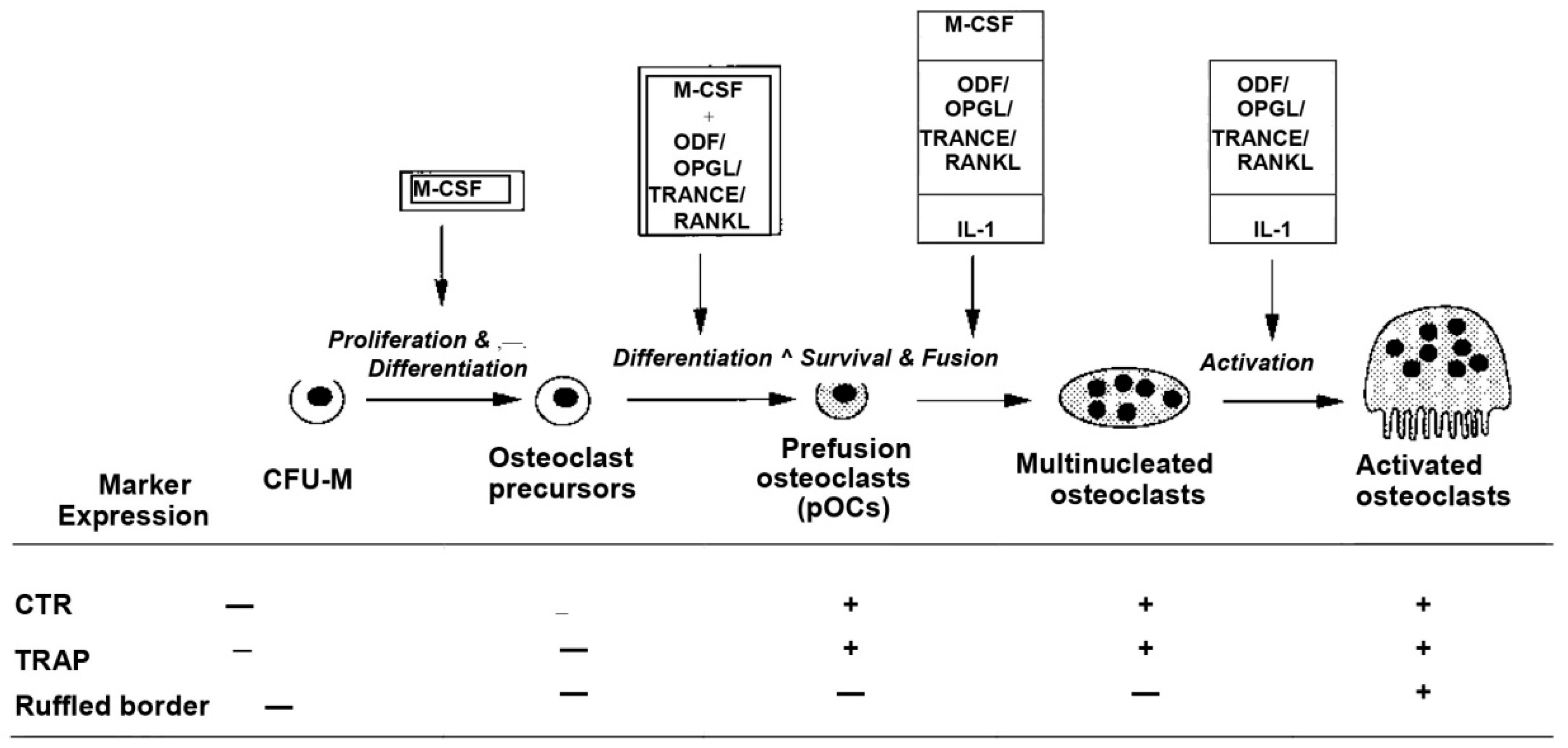 Applsci 09 00174 g003