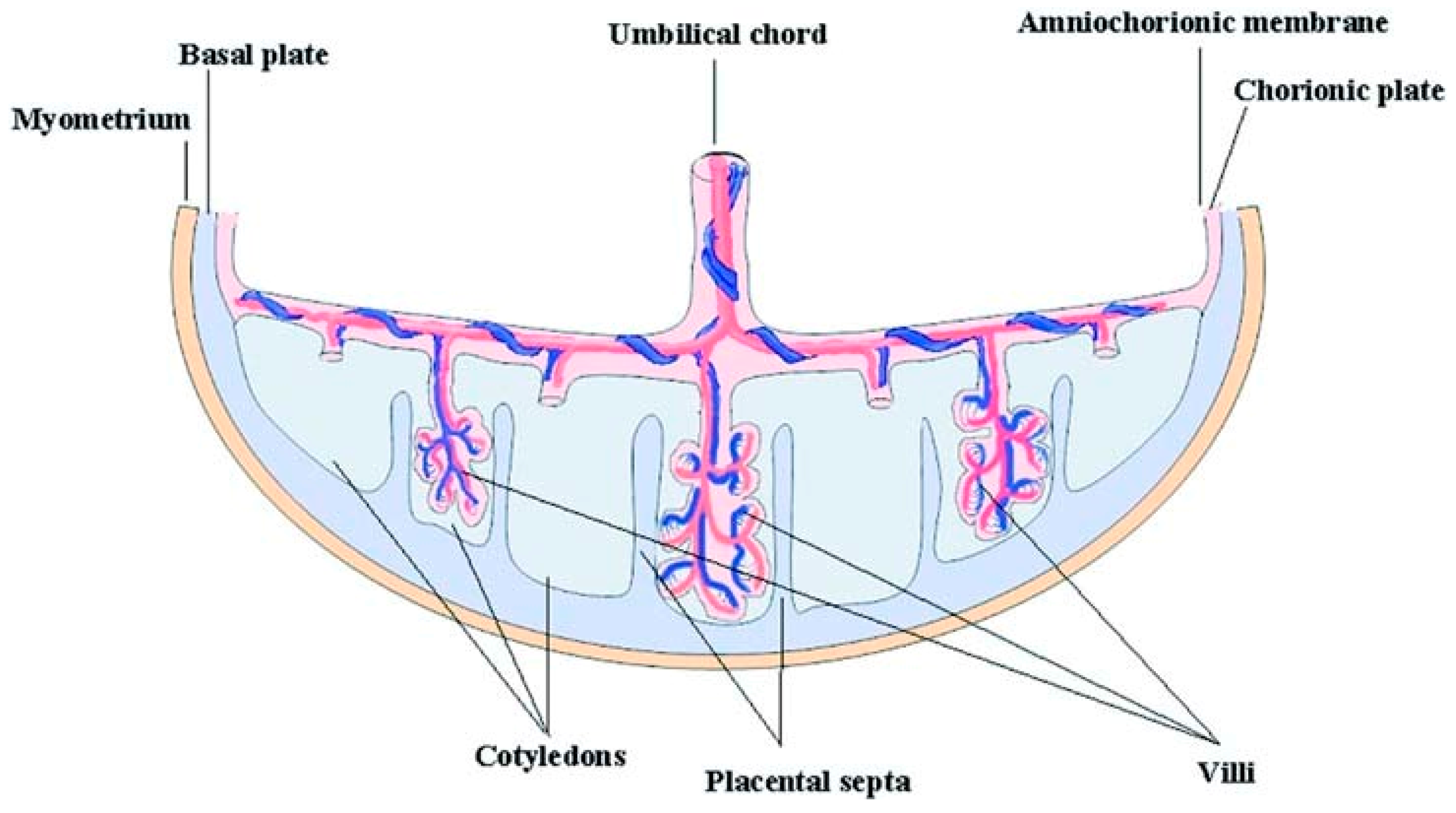 Applsci 09 00174 g005