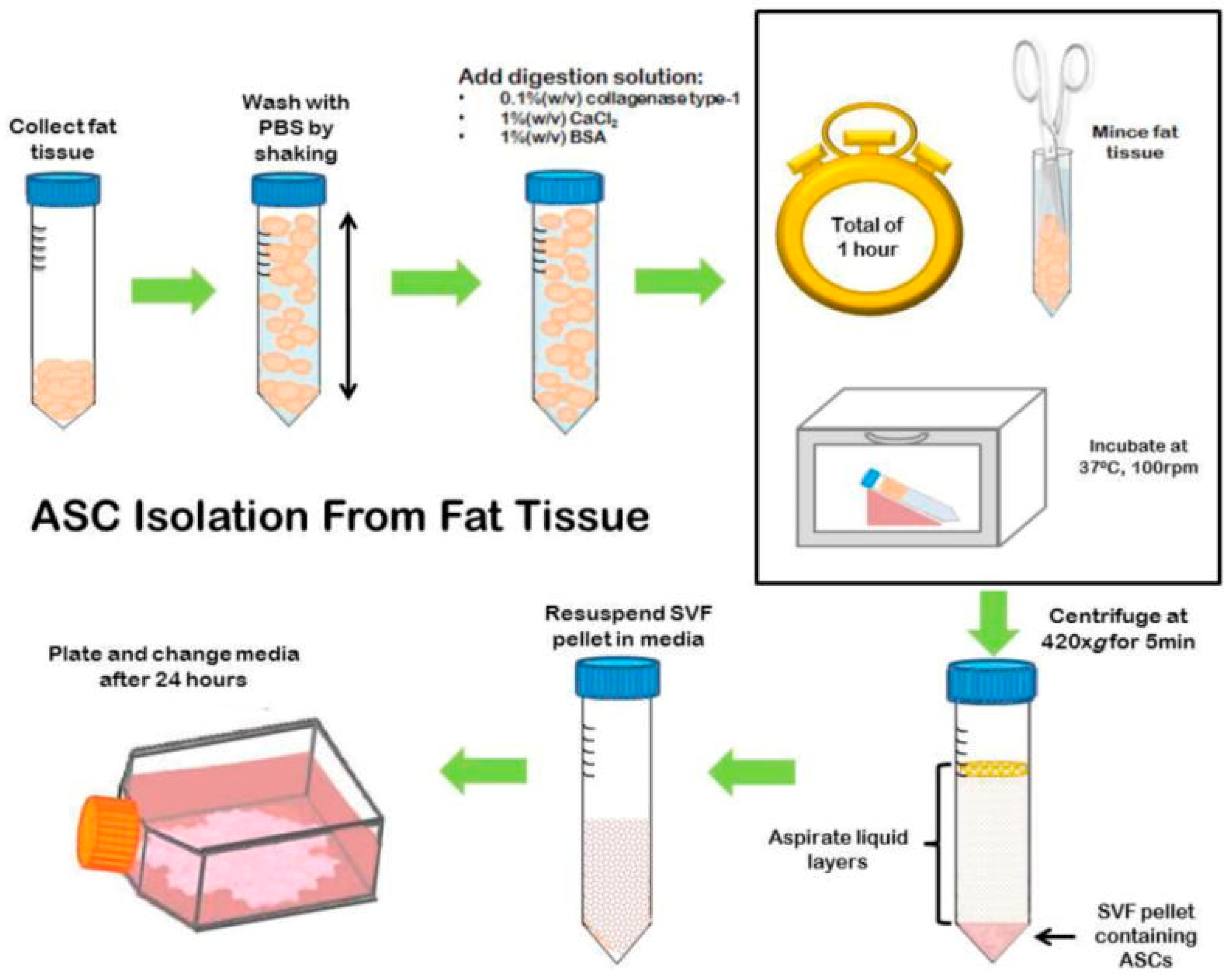 Applsci 09 00174 g006