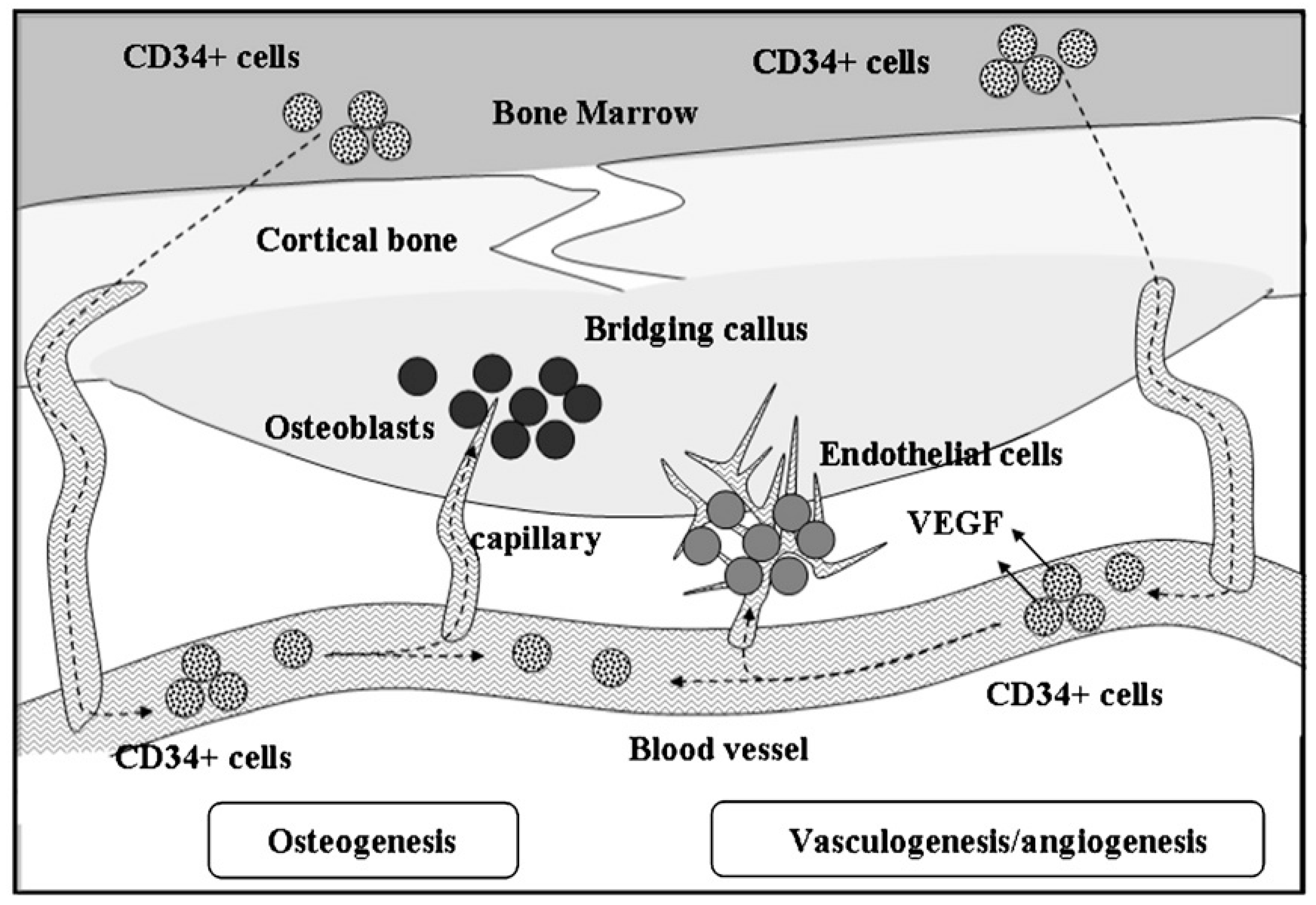 Applsci 09 00174 g008
