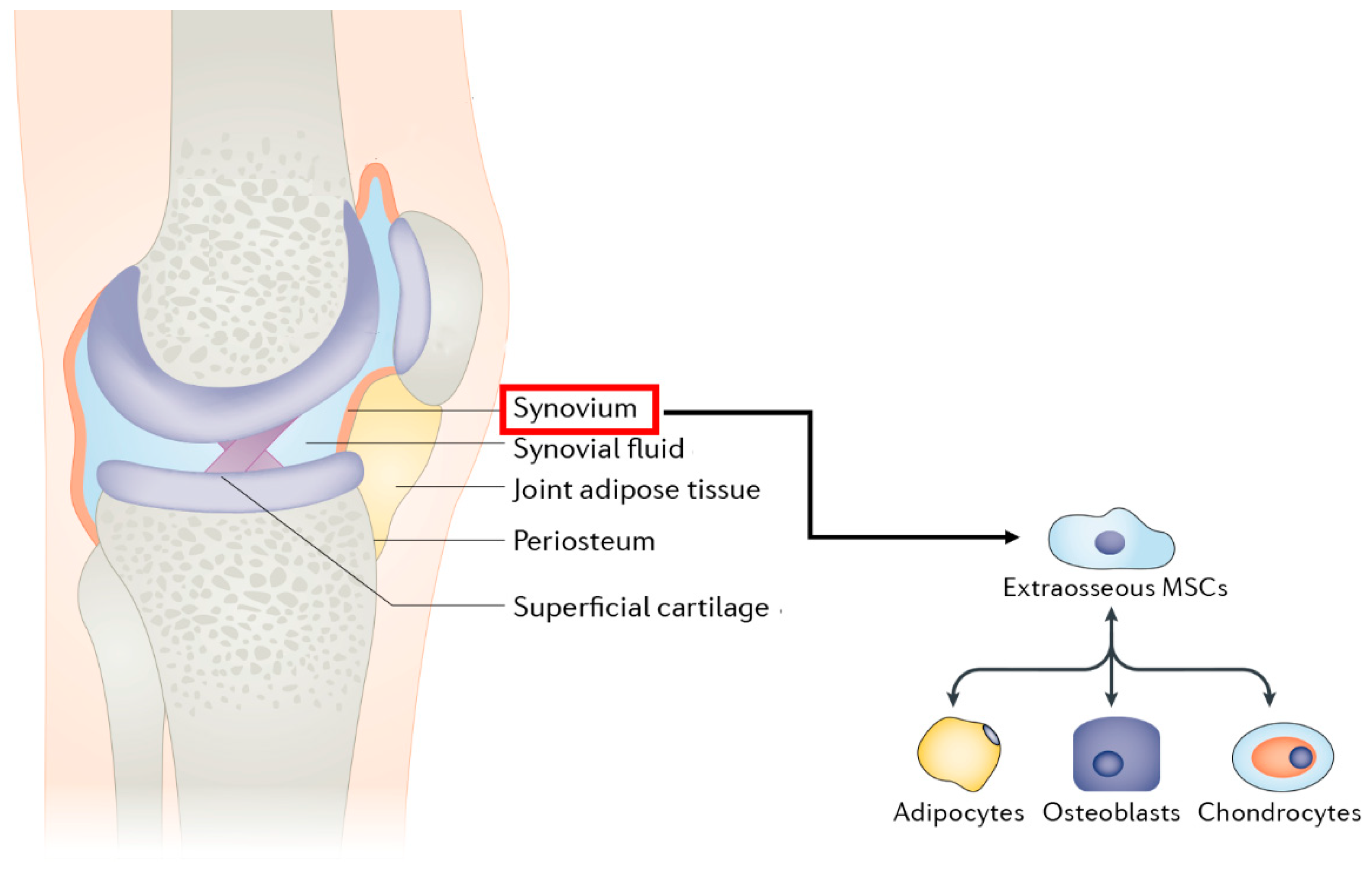Applsci 09 00174 g010