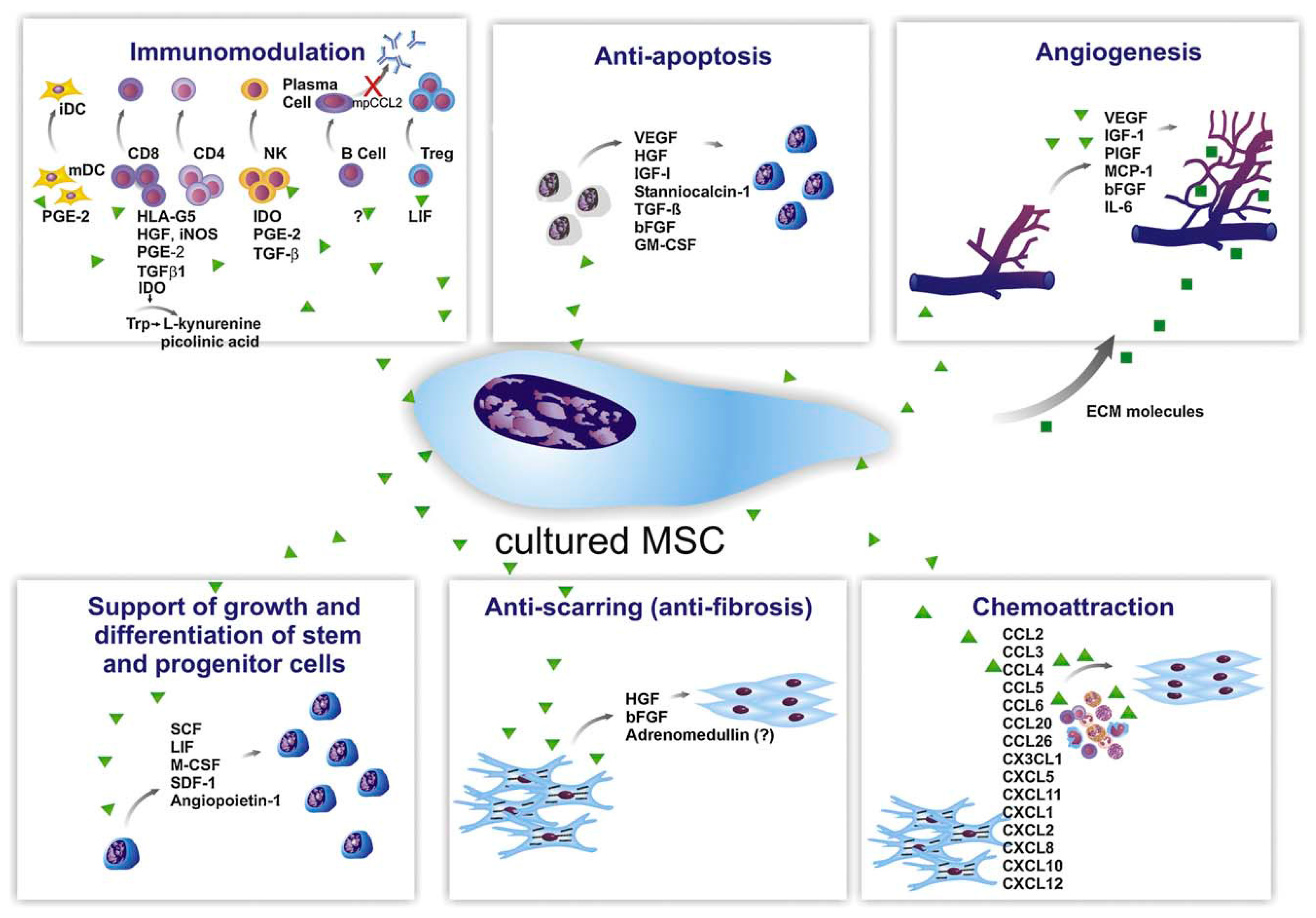 иммунный склероз. Multiple sclerosis. рассеянный склероз (рс) -. минусы использования стволовых клеток. терапия стволовыми клетками при рассеянном склерозе.