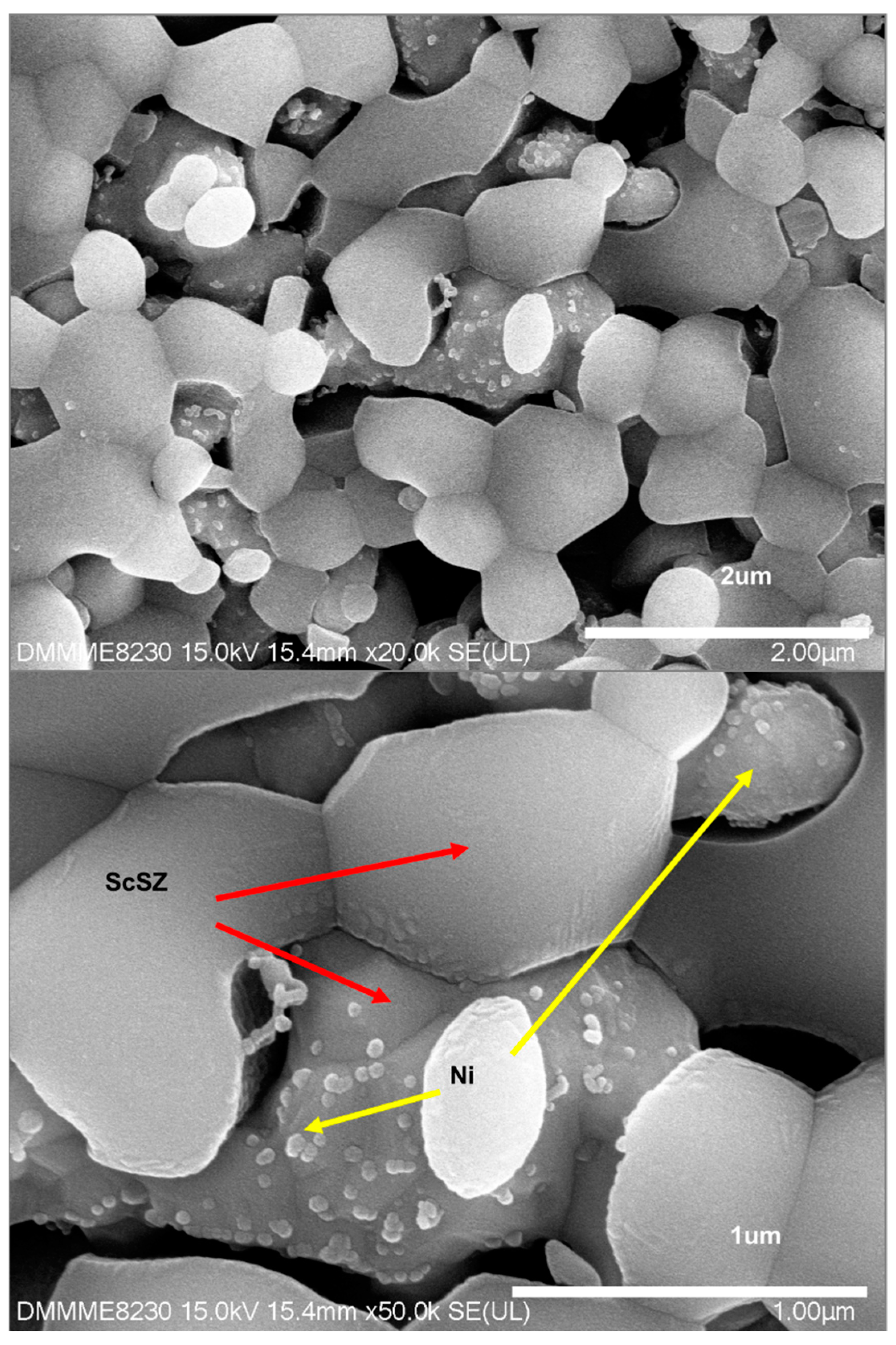 Applsci 09 00264 g004 550