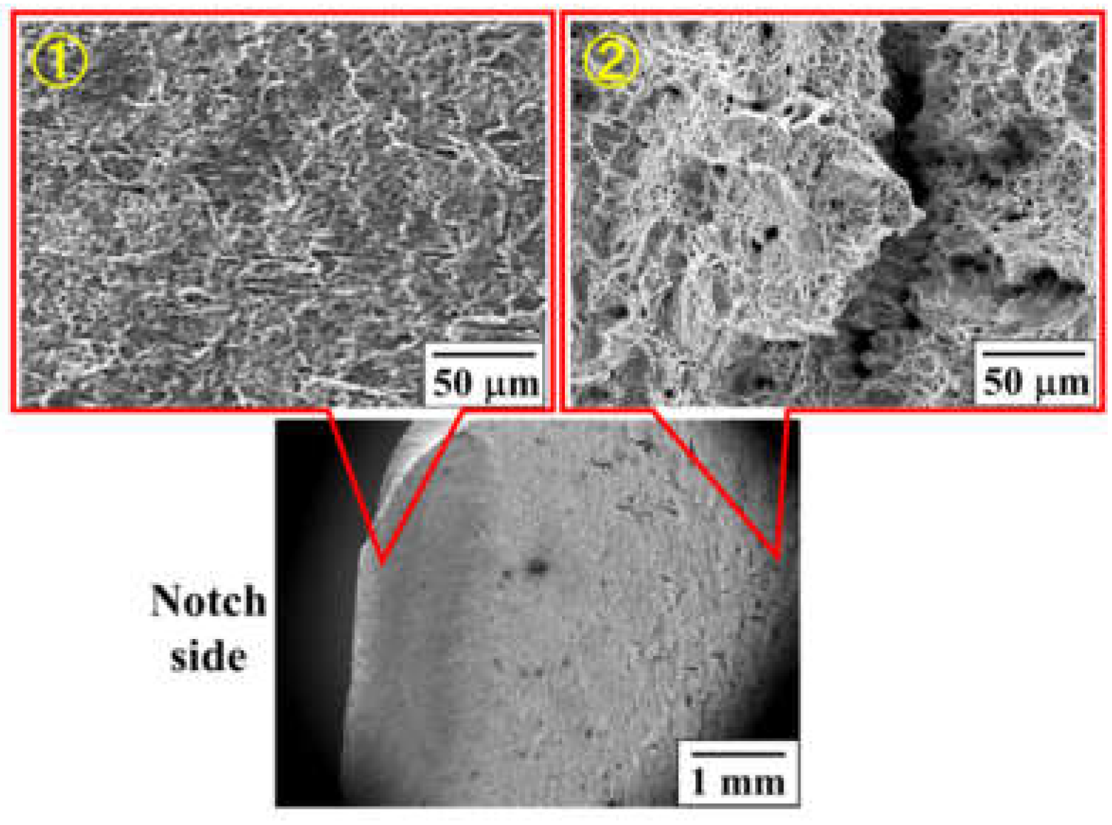 Applsci 09 00299 g002 550