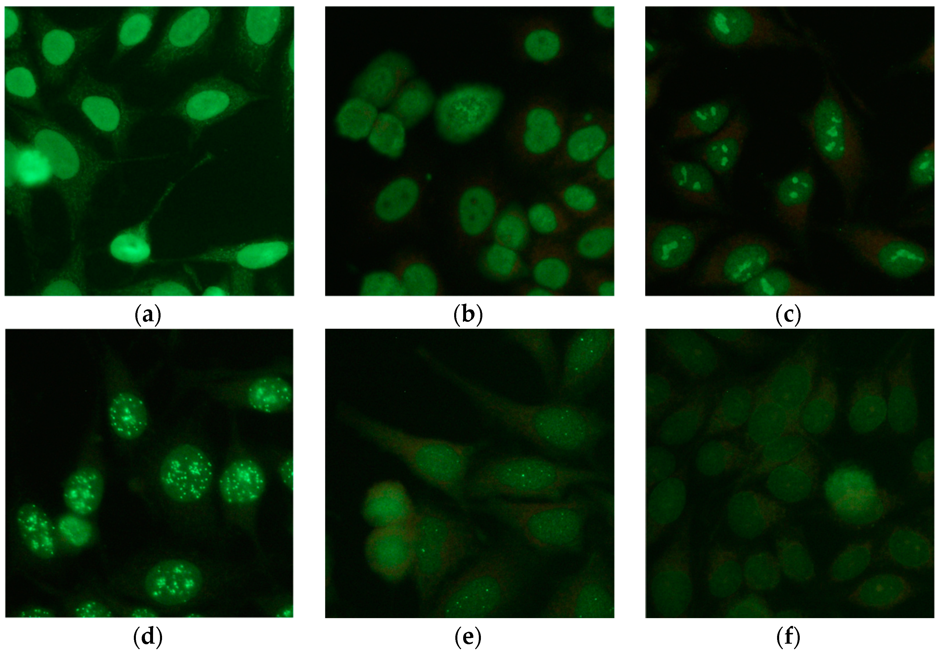 Applsci 09 00307 g001 Applsci 09 00307 g001